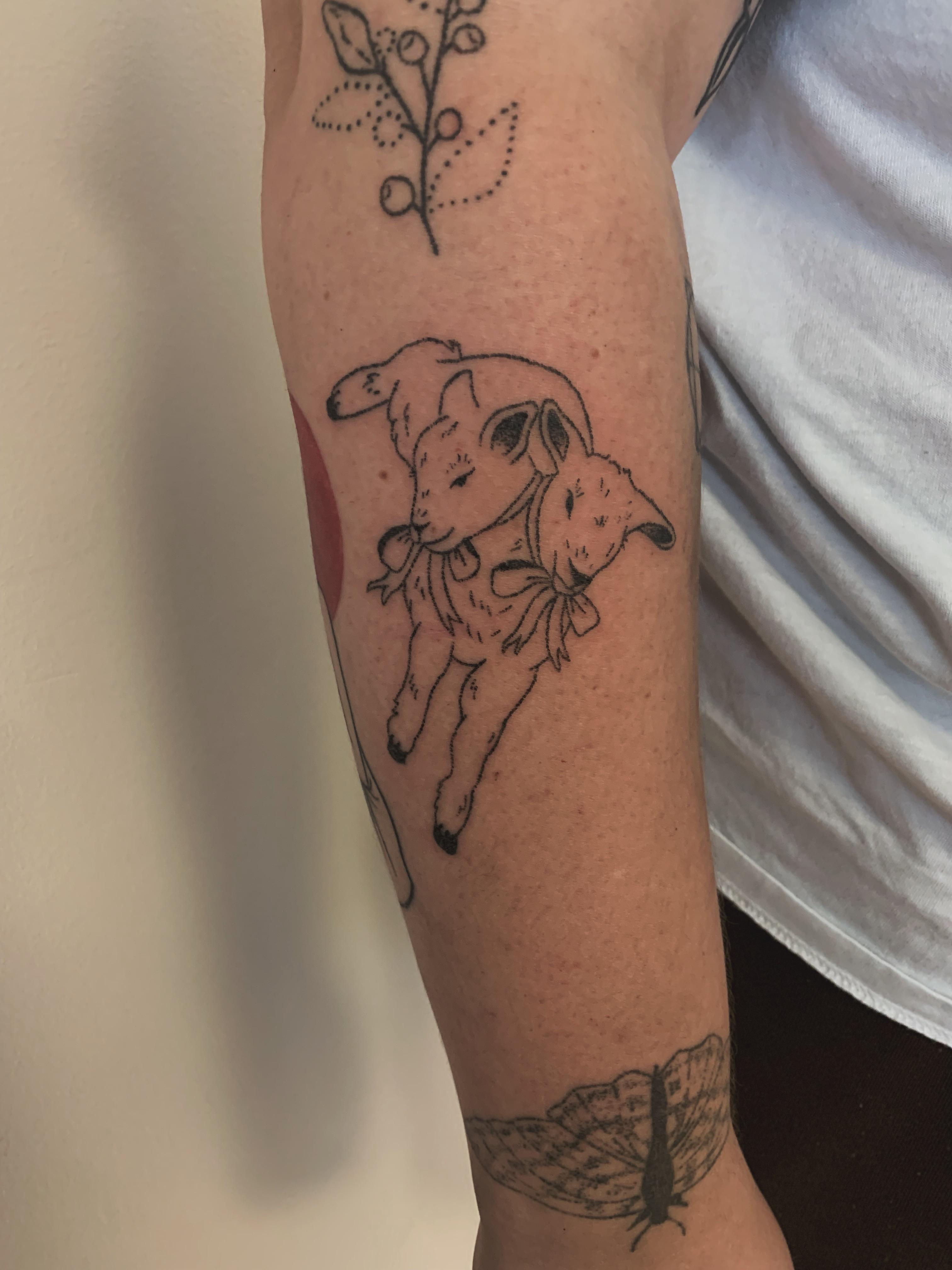 Two Headed Frolicking Lamb By Emily Alder Woods In Goderich, Ontario, Canada : R/Tattoos 4032_x_3024_jpg
