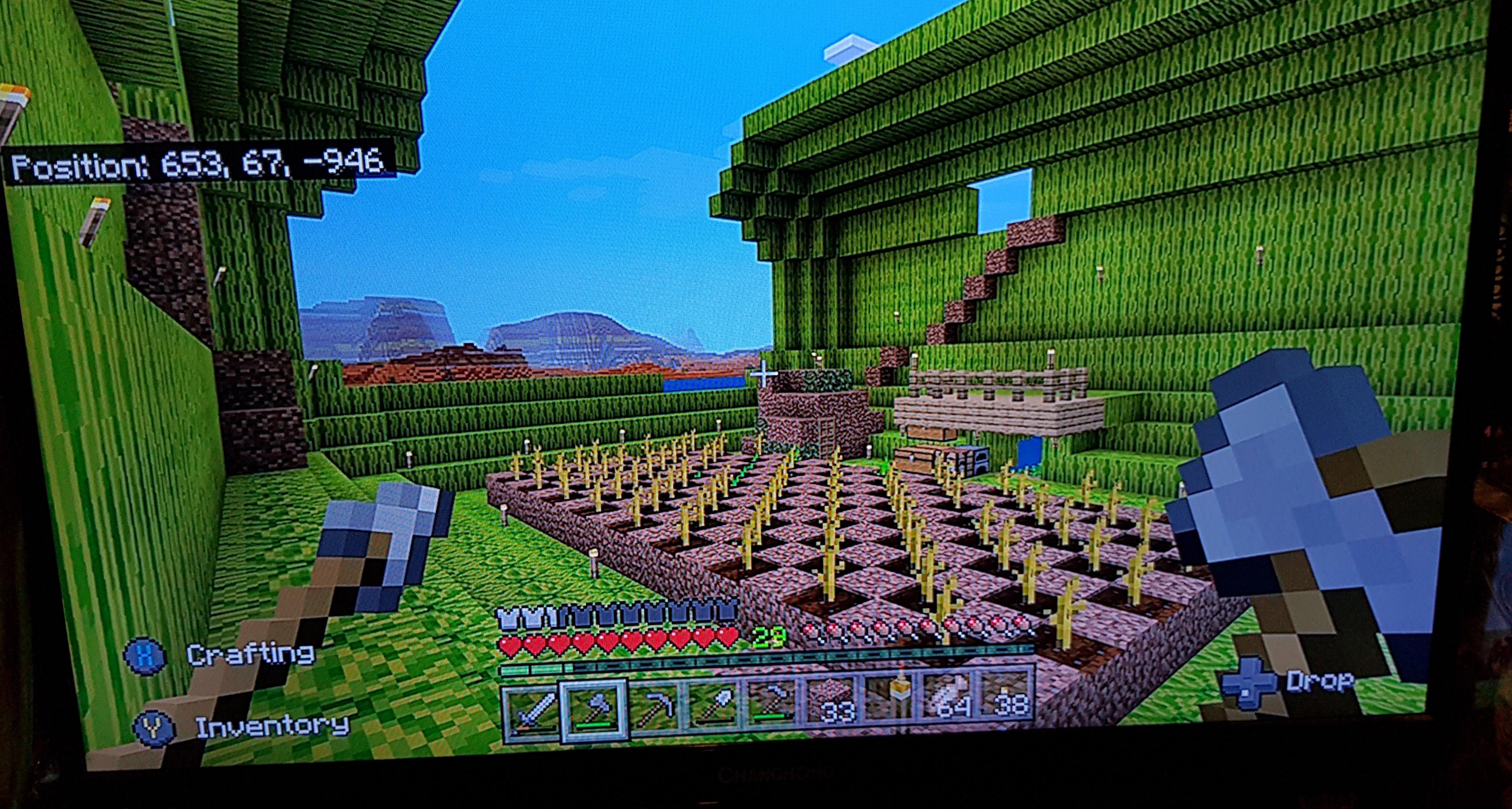 I'm building a giant watermelon out of watermelons in survival mode. I