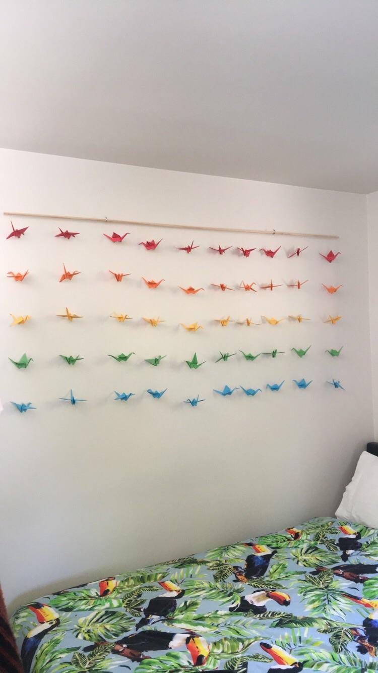 Wanted some colour but not allowed to paint the walls (not perfect but