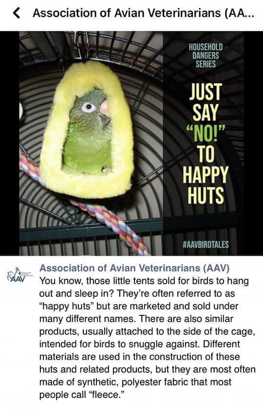 PSA on happy huts r/parrots