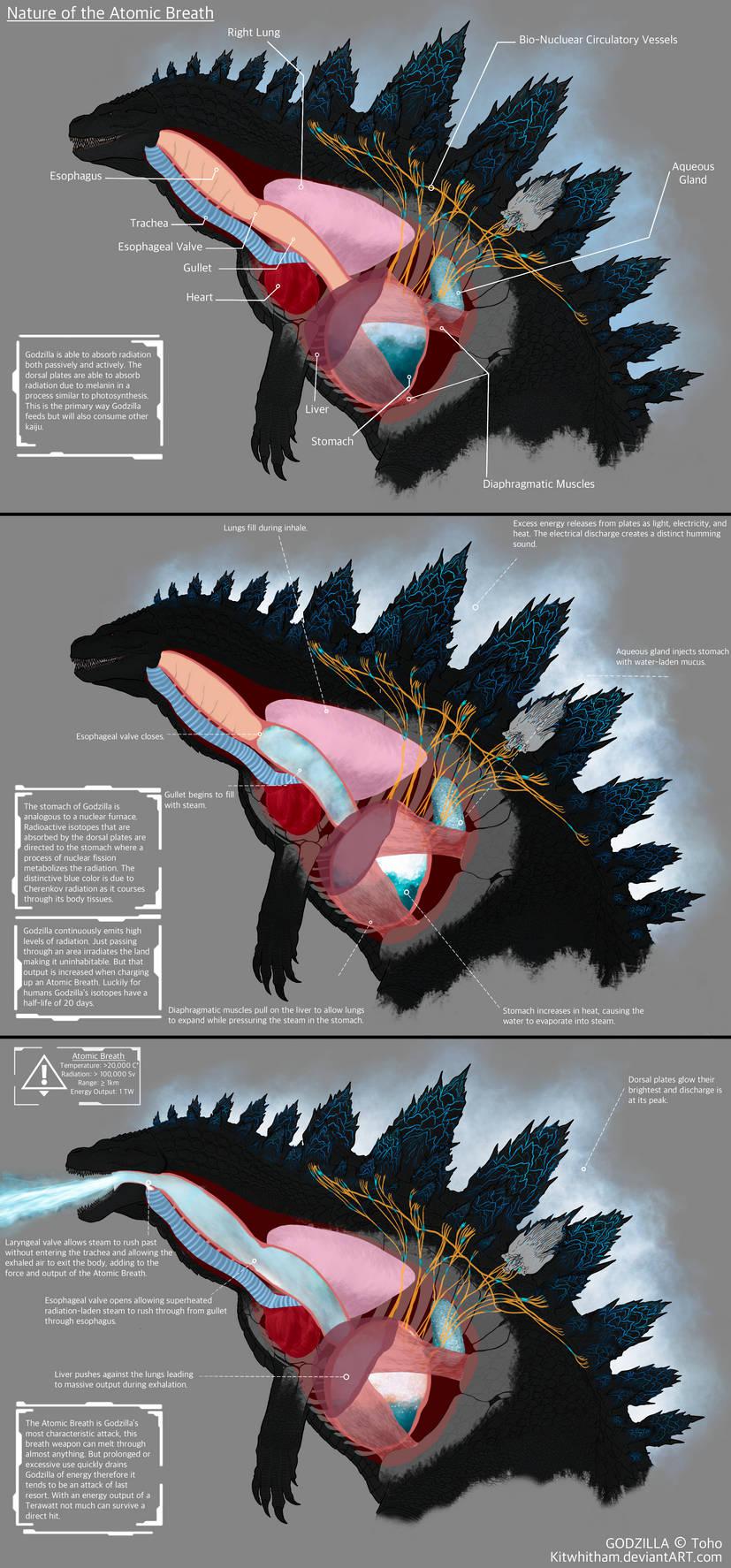 Nature of the Atomic Breath (Art by KitWhitham) r/GODZILLA