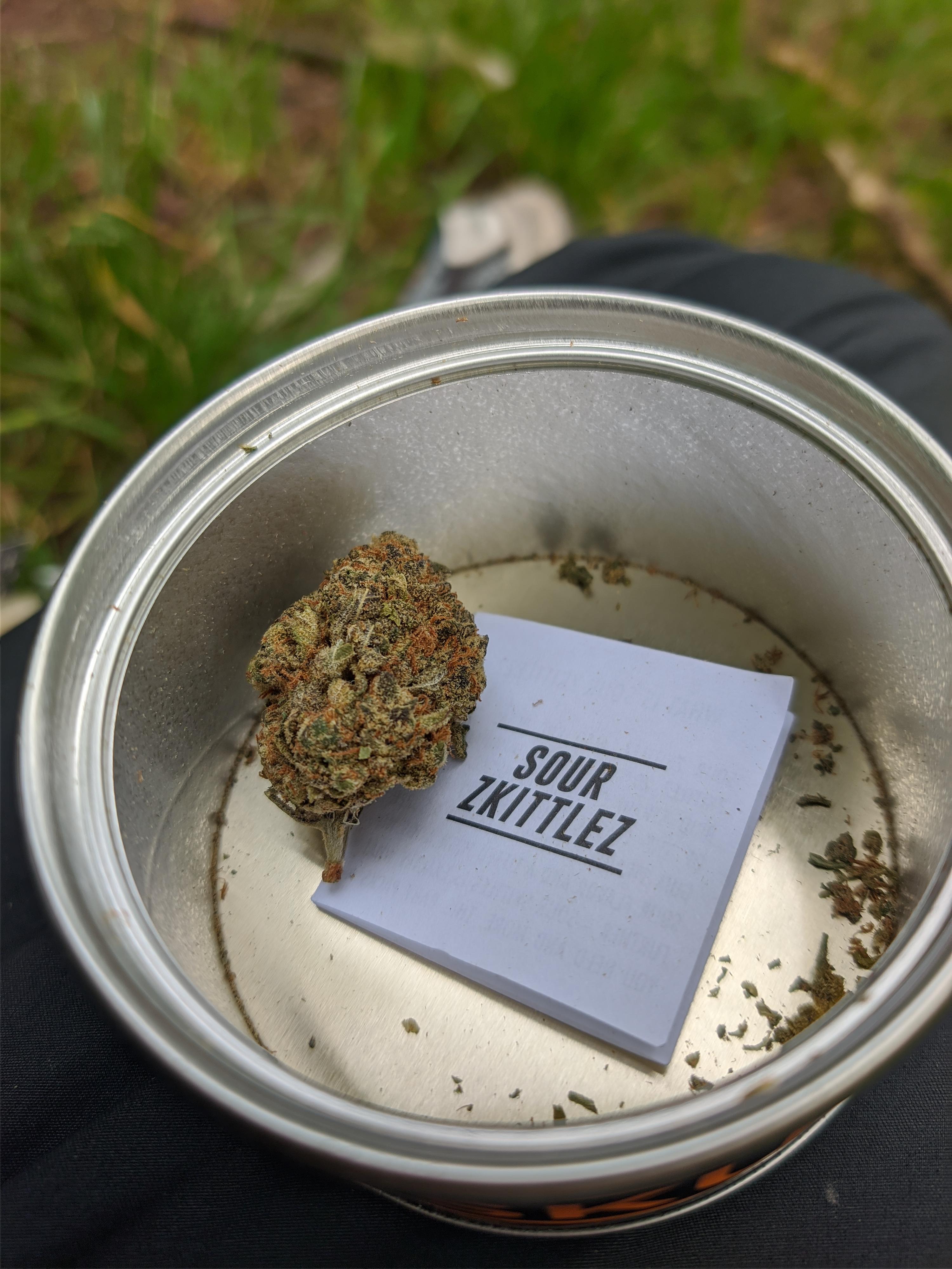 Last bit Sour Zkittlez NL Import r/germantrees