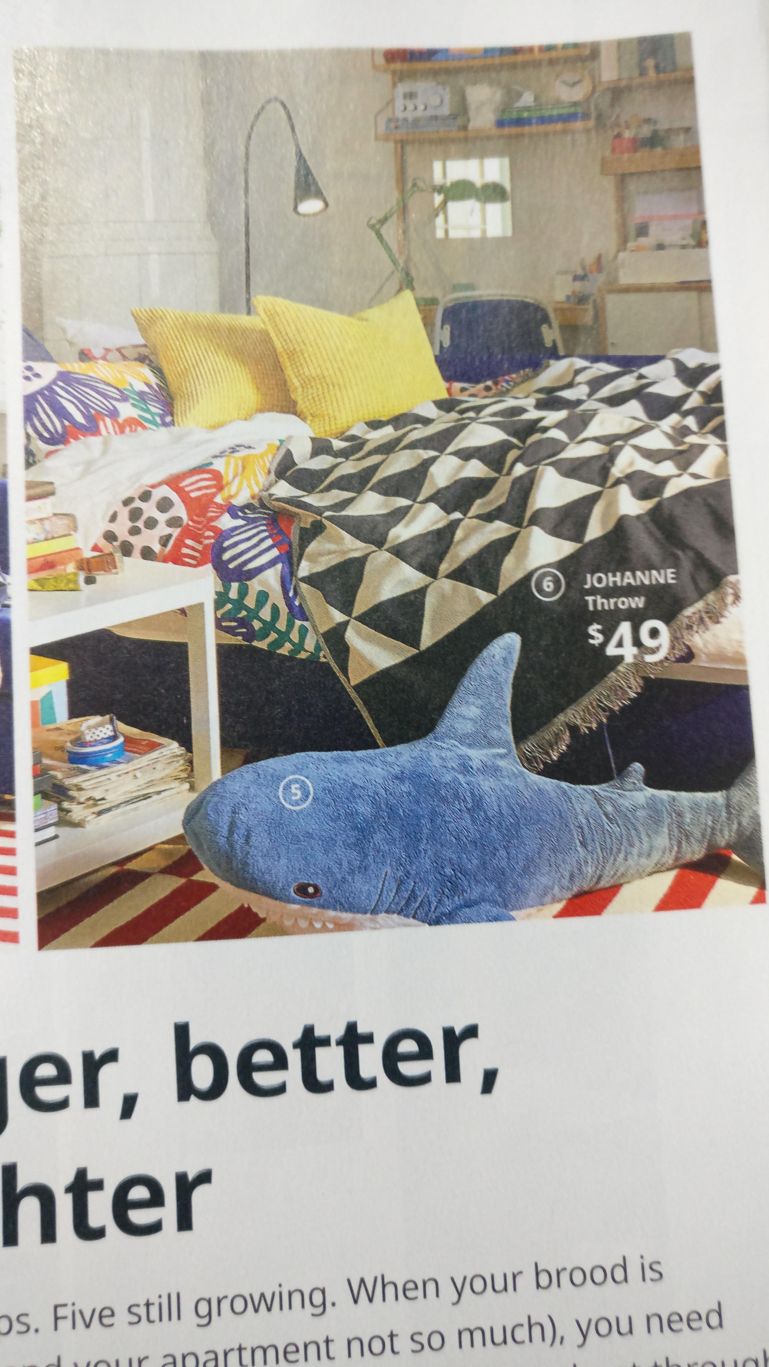 Received Ikea catalogue in the mail. Looked for Blahaj. Wasn't