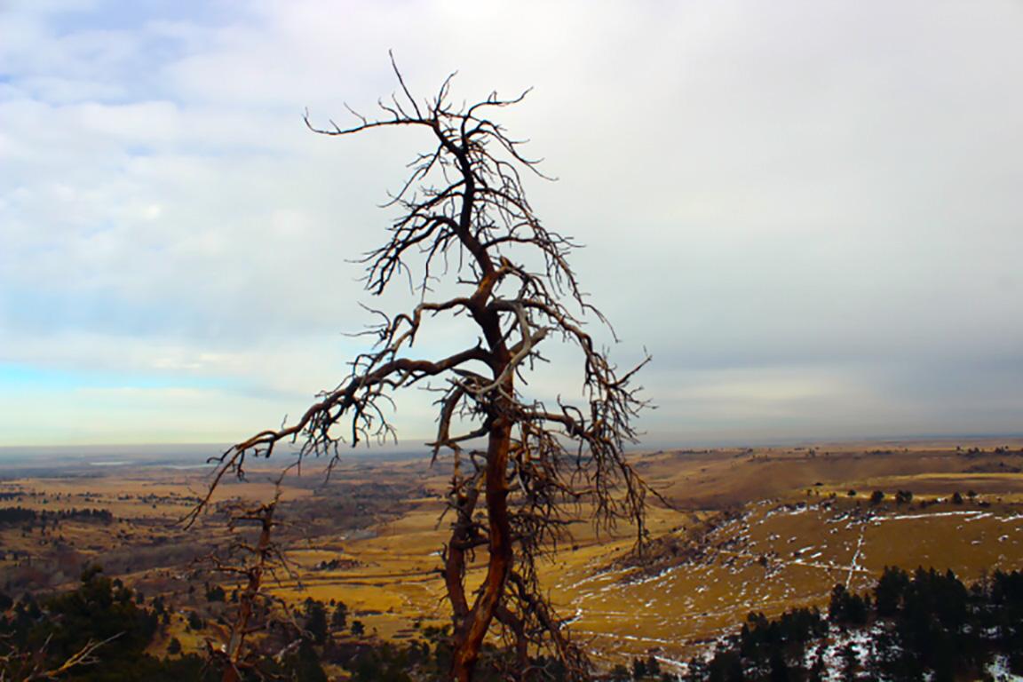 Fowler Trail, Boulder CO [OC] [1152 x 768] r/EarthPorn