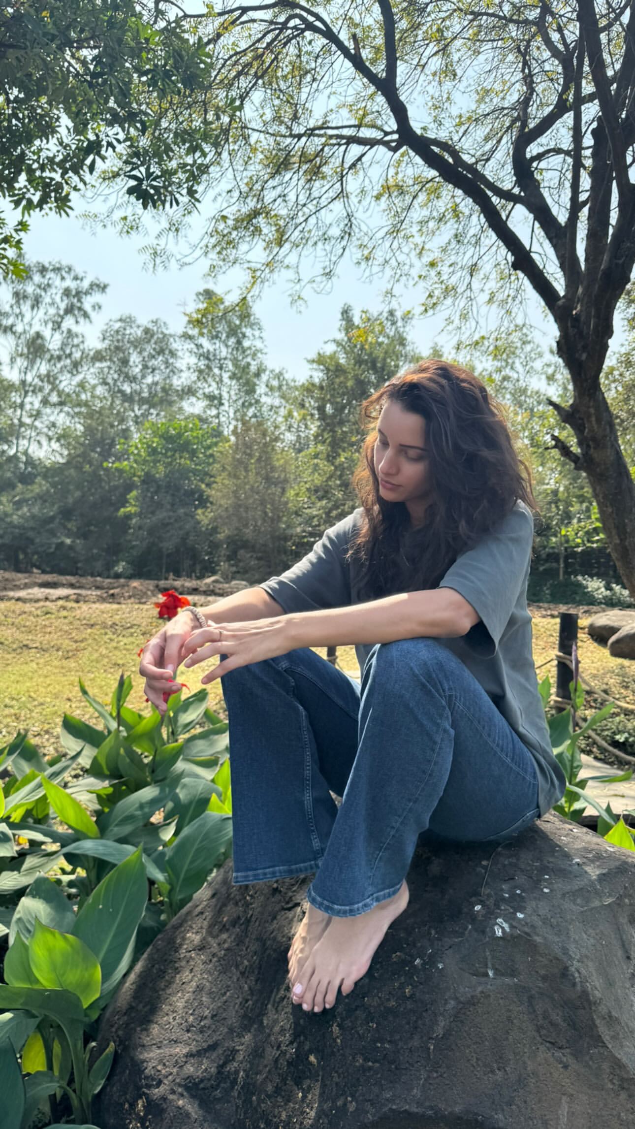 Tripti Dimri : TriptiDimrihub