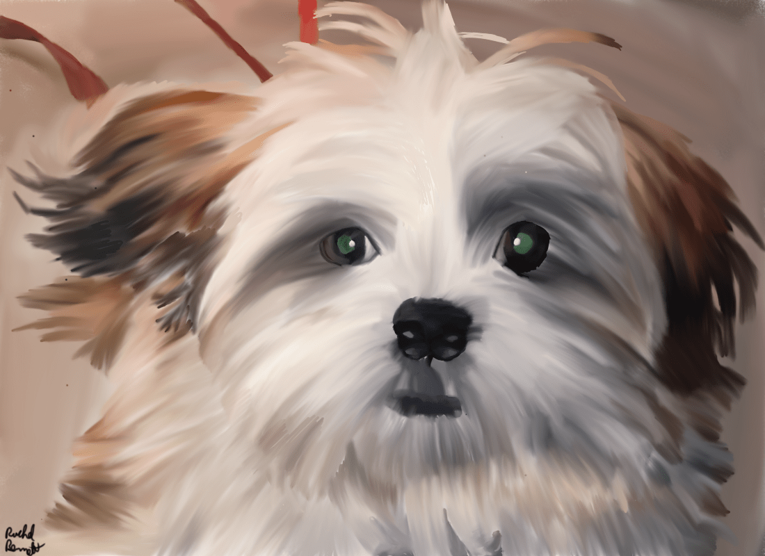 (For hire) digital pet portraits and human portraits. Printing options are avalible. Starting at