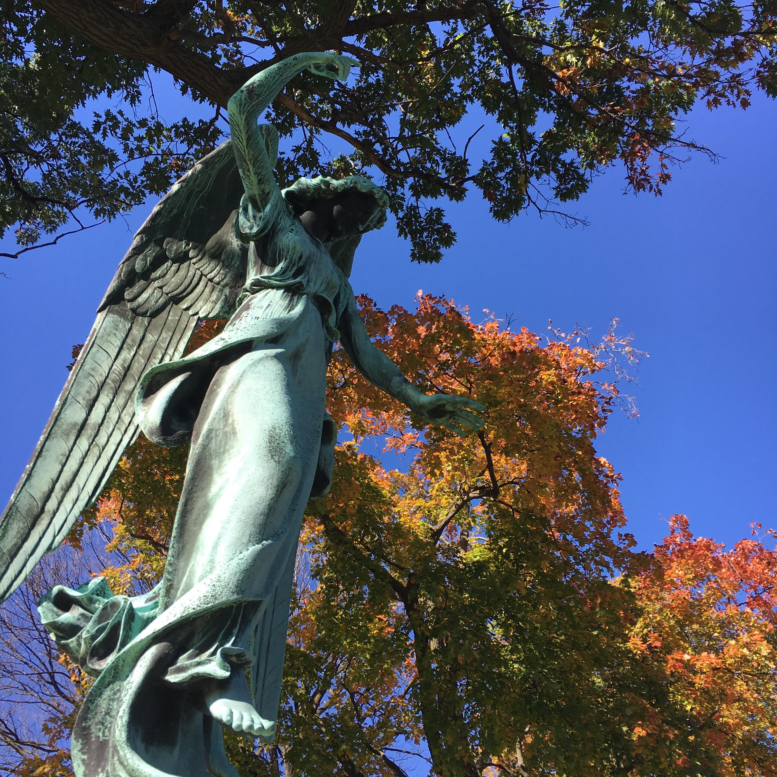 calvary cemetery, milwaukee wi r/CemeteryPorn