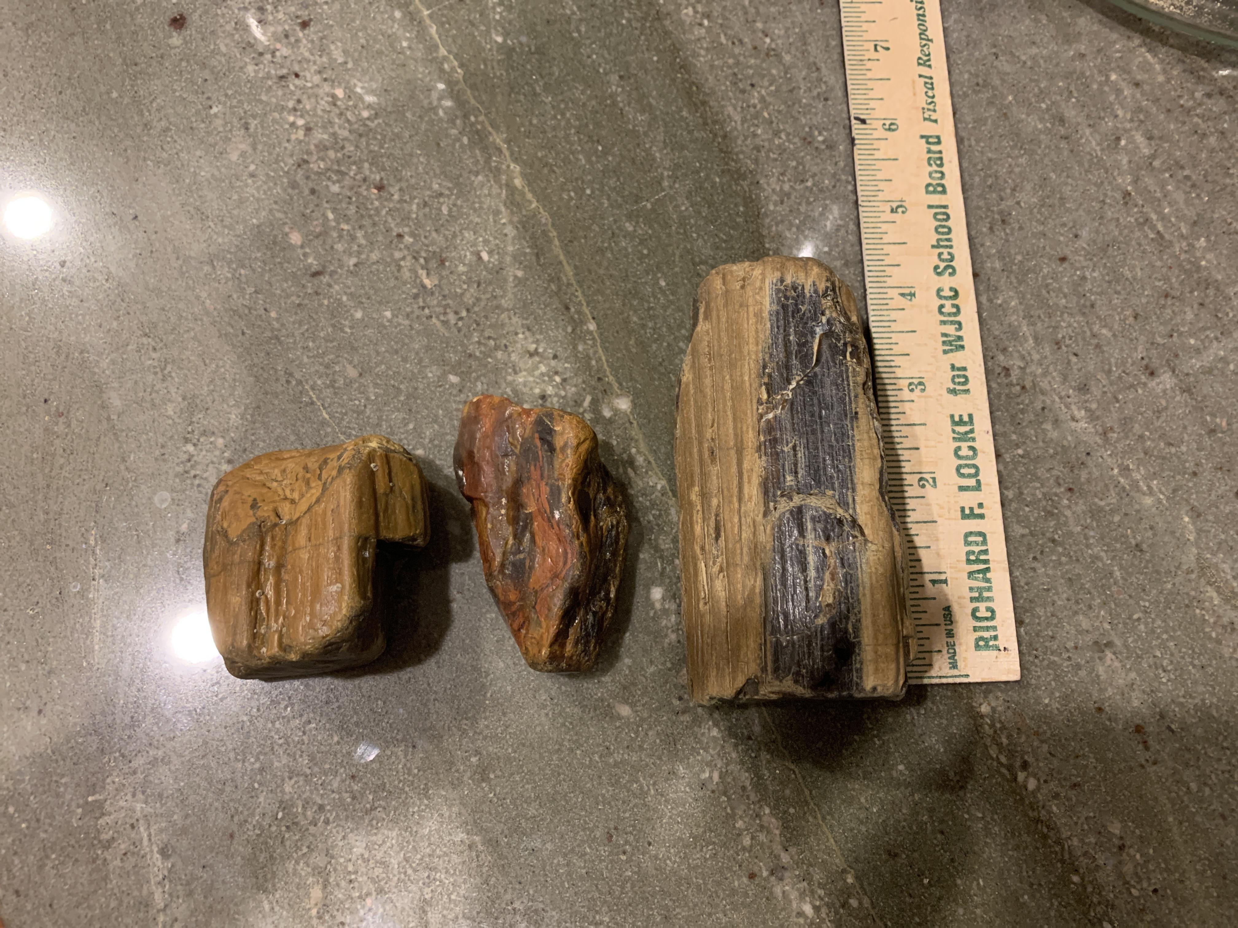 Petrified wood from the James River in Virginia r/FossilPorn