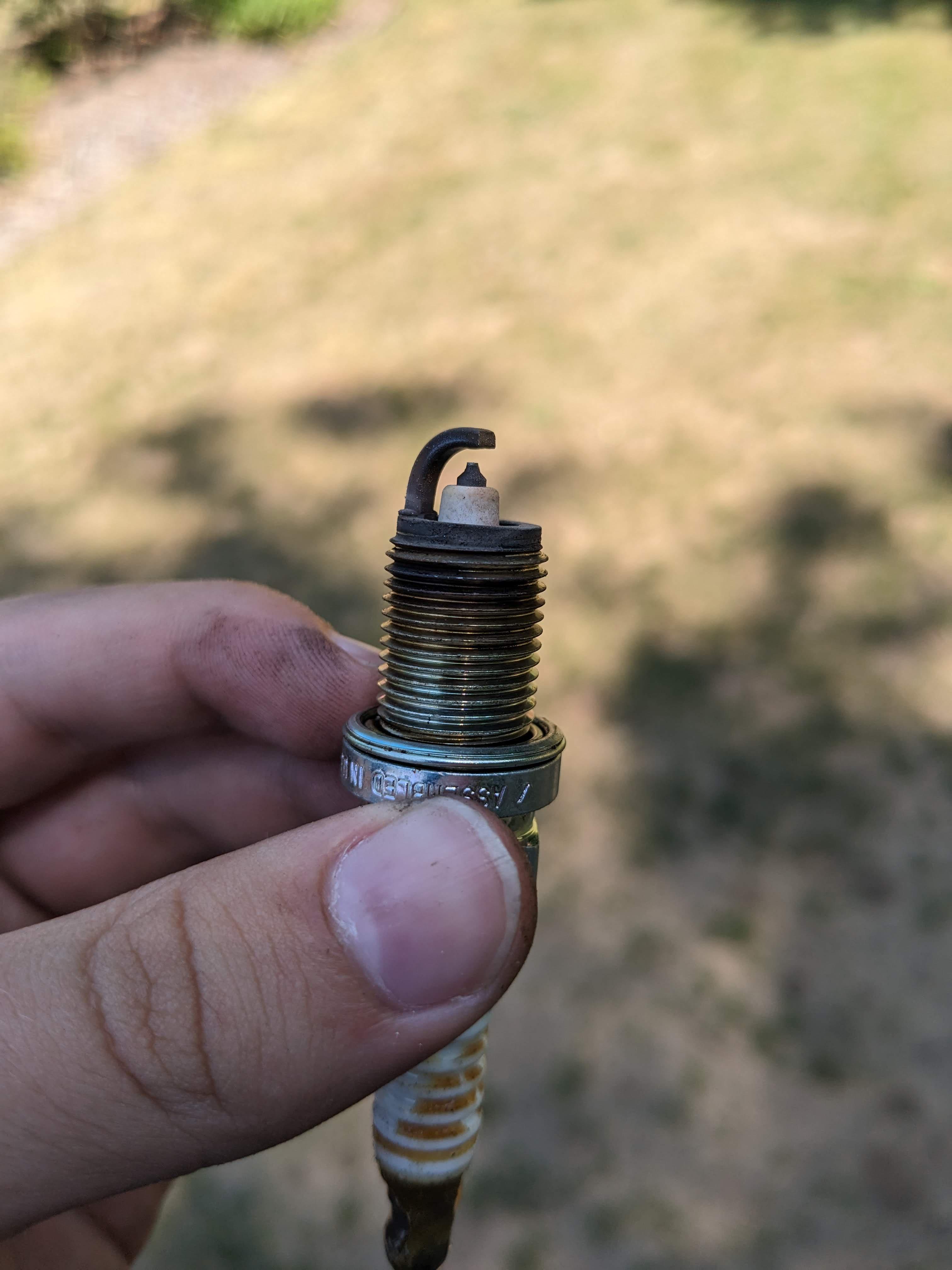 How do my plugs look? Could new iridium ones improve gas mileage? r