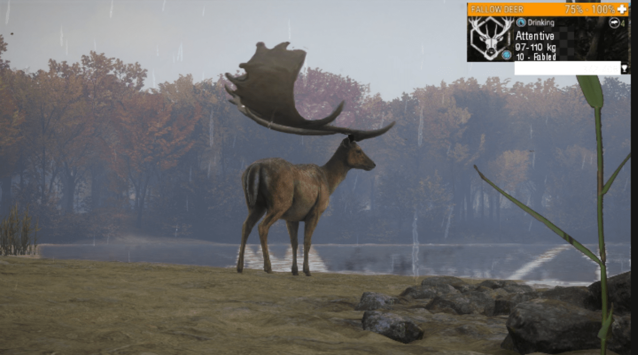 Tried making a Great One Fallow Deer. What would you rate it 110? r