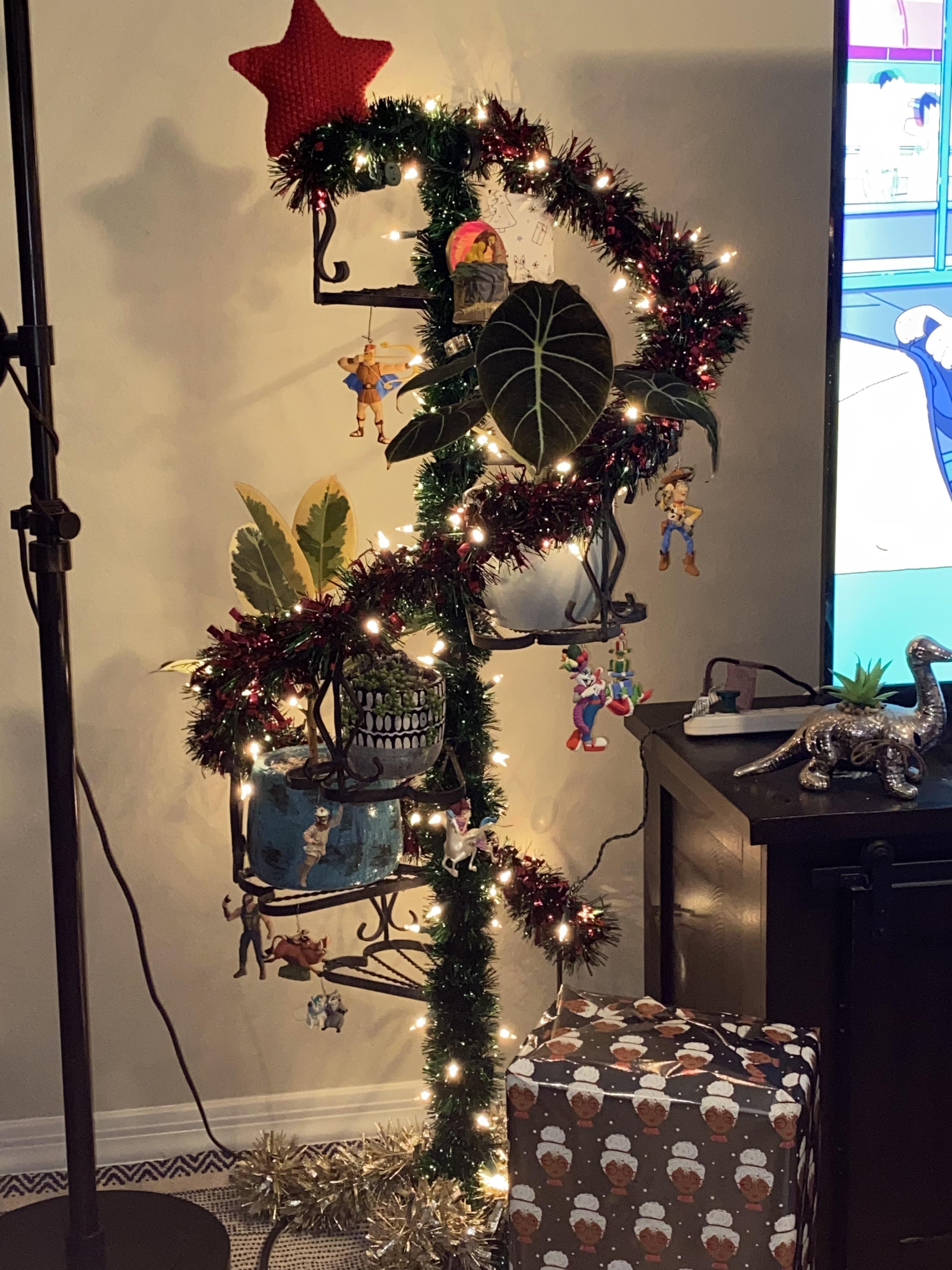 bf did the christmas tree r/houseplants
