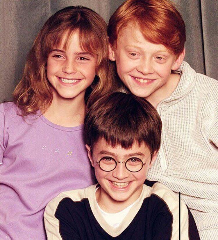 The Terrific Trio that saved Hogwarts and the Wizarding world harrypotter