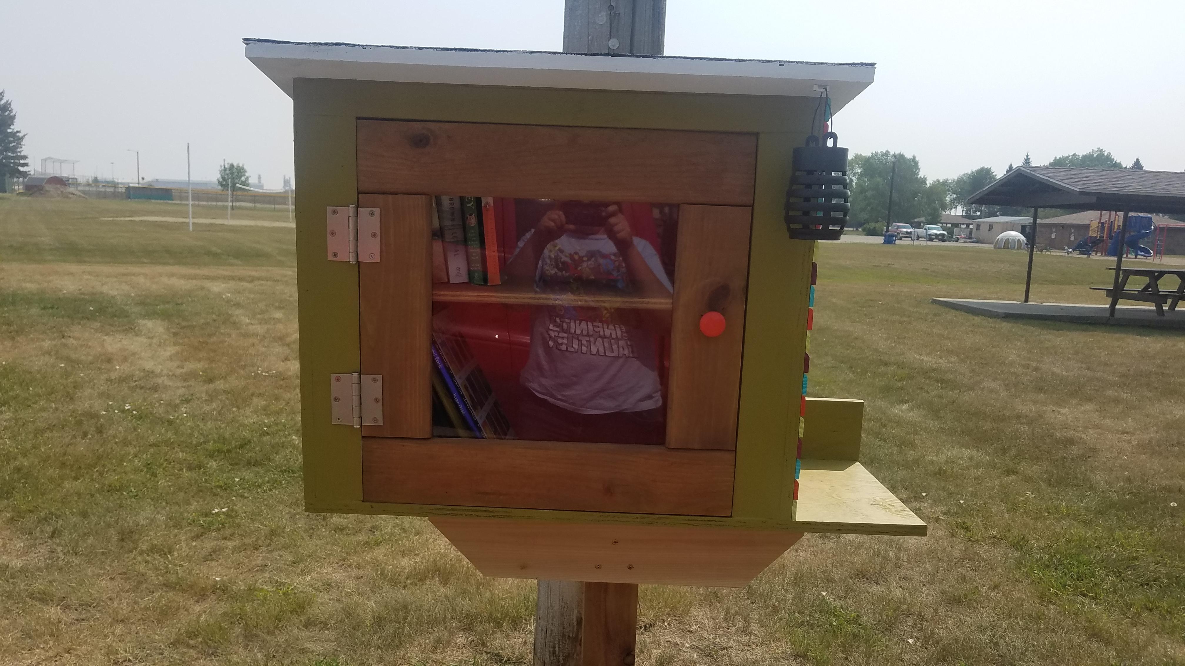 My town in ND has put up little libraries all over town. They have a
