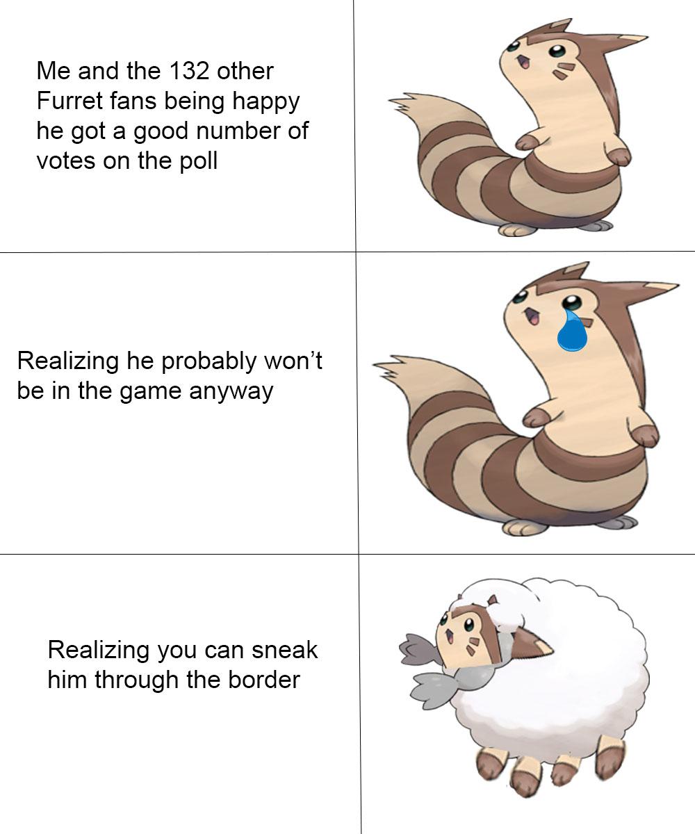 Furret is a good boy pokemon