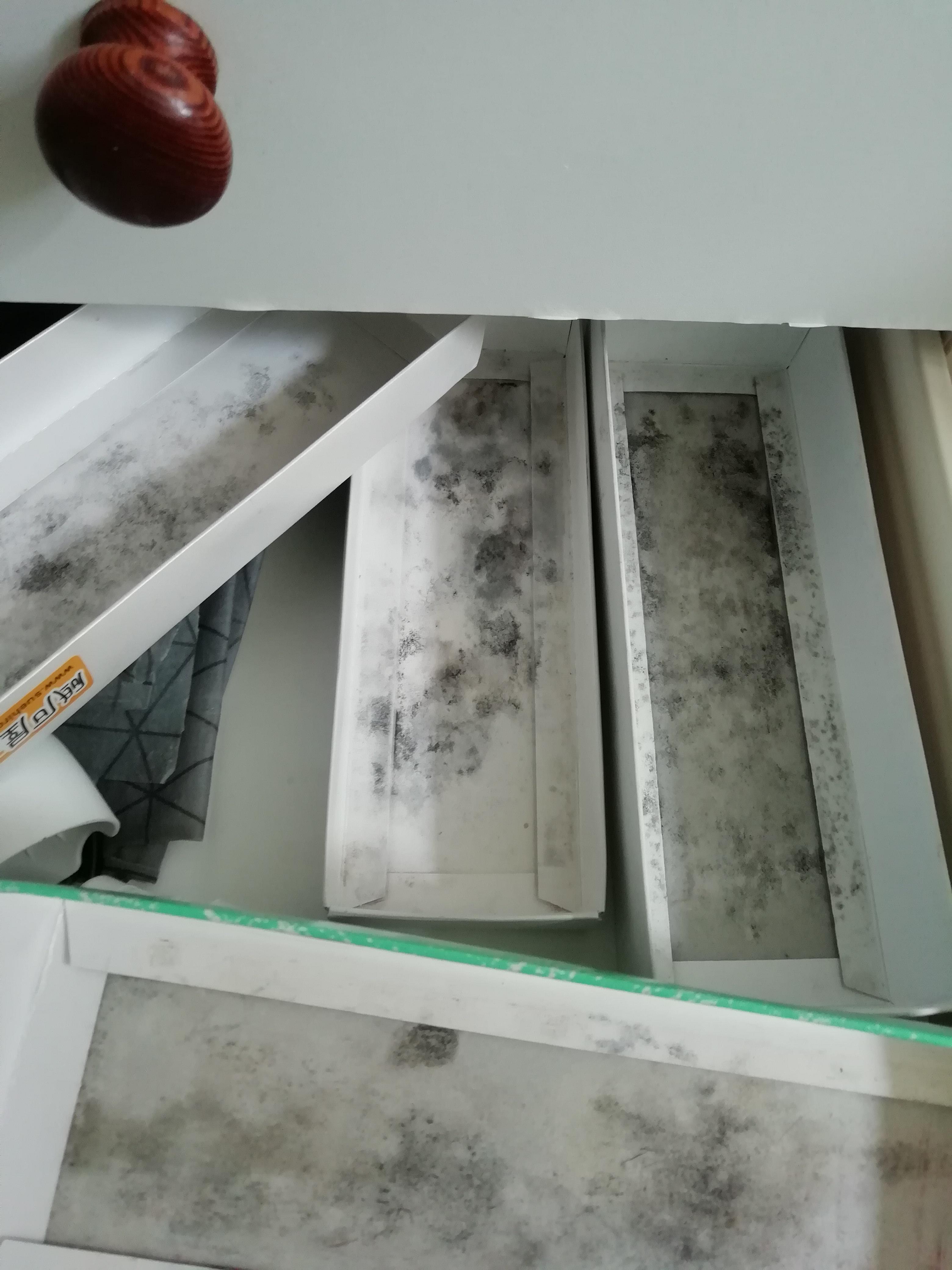 Mold on whetstone covers in cardboard r/chefknives