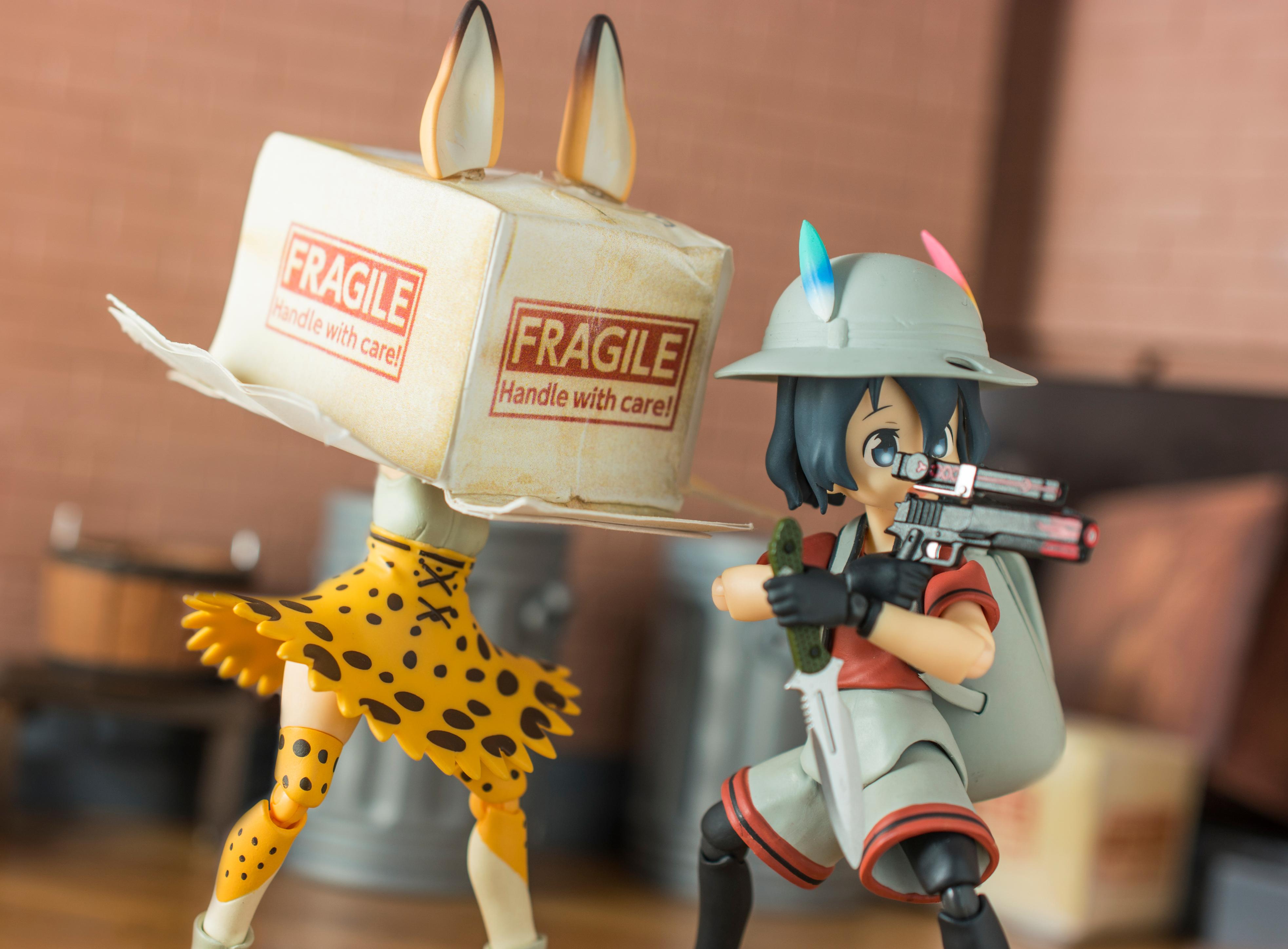 Just a random Metal gear x Kemono friends photography shot r