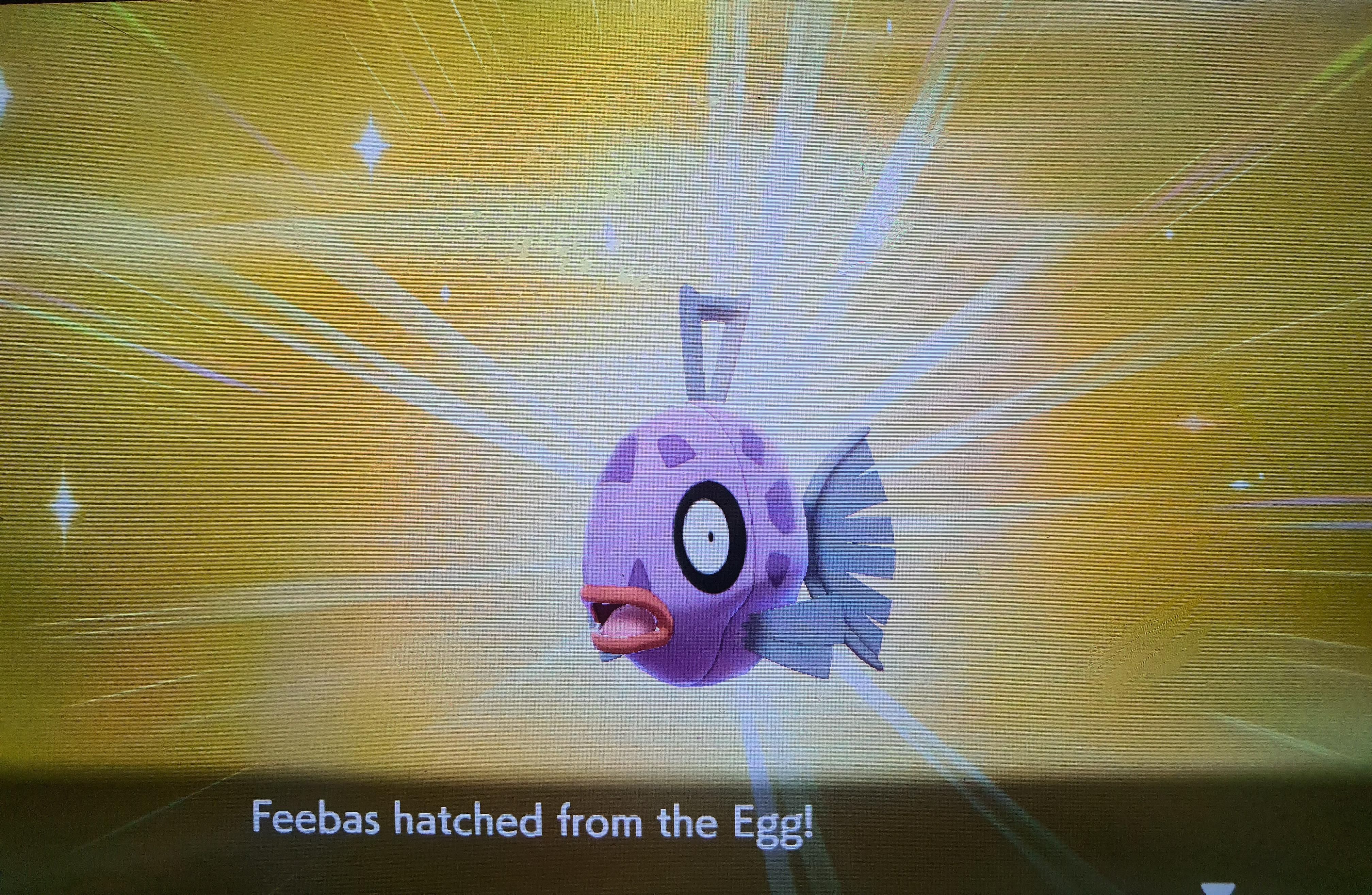 First shiny is a Feebas! r/PokemonSwordAndShield