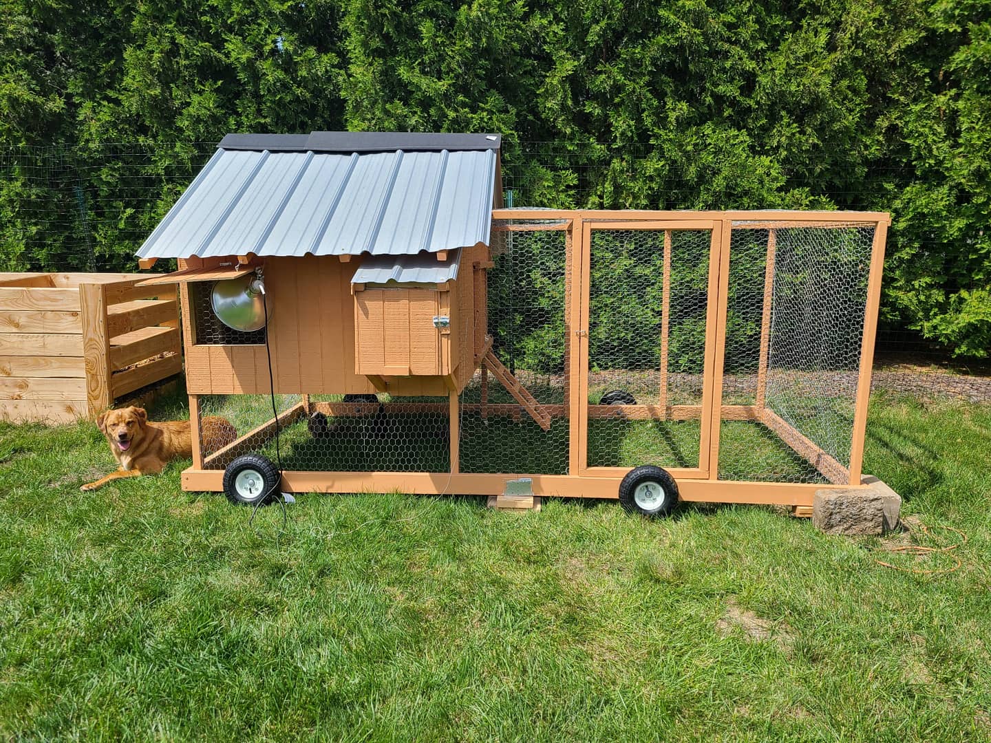 Built our first coop! r/chickens
