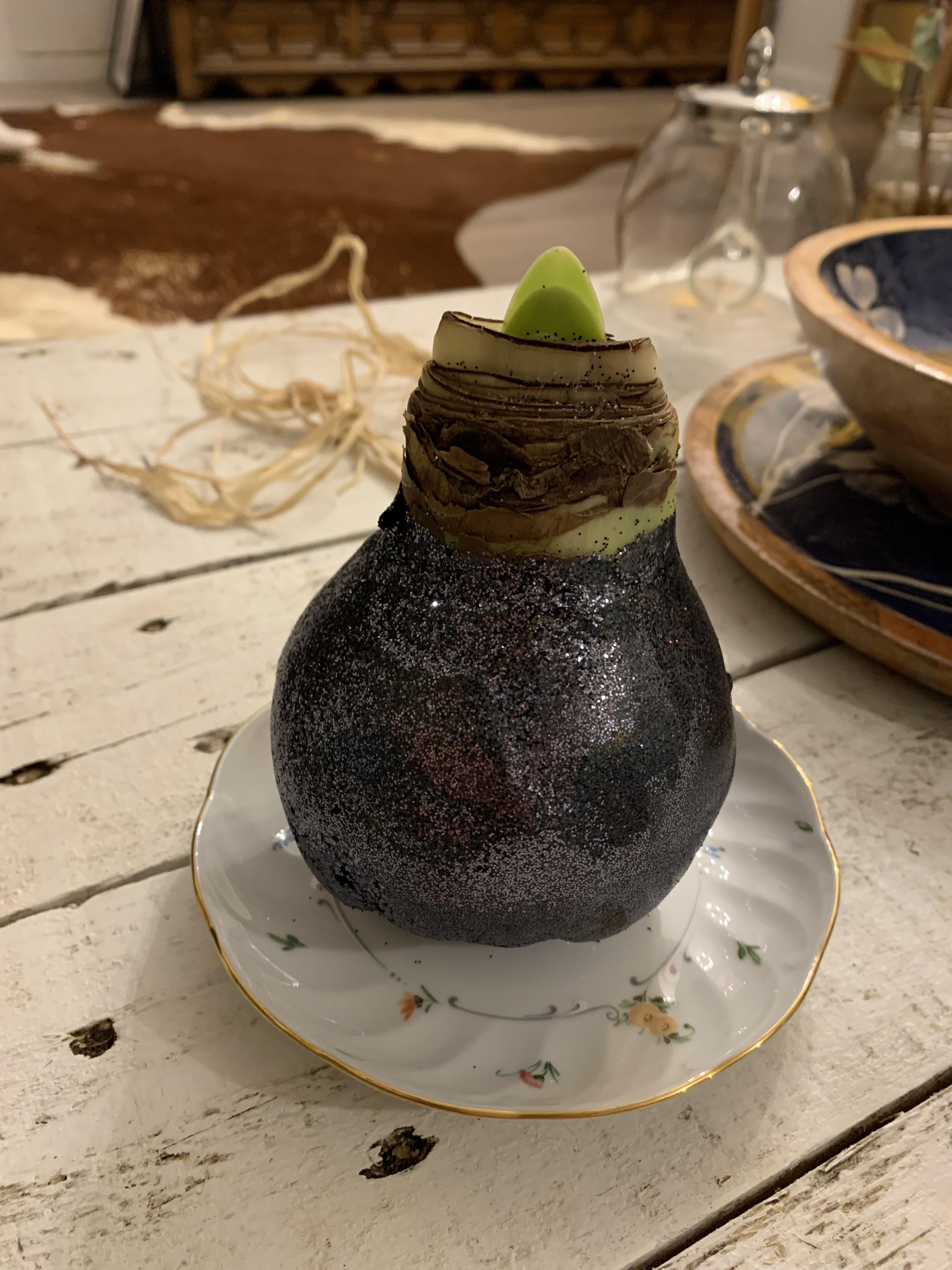 Crazy glitter bomb r/plantclinic