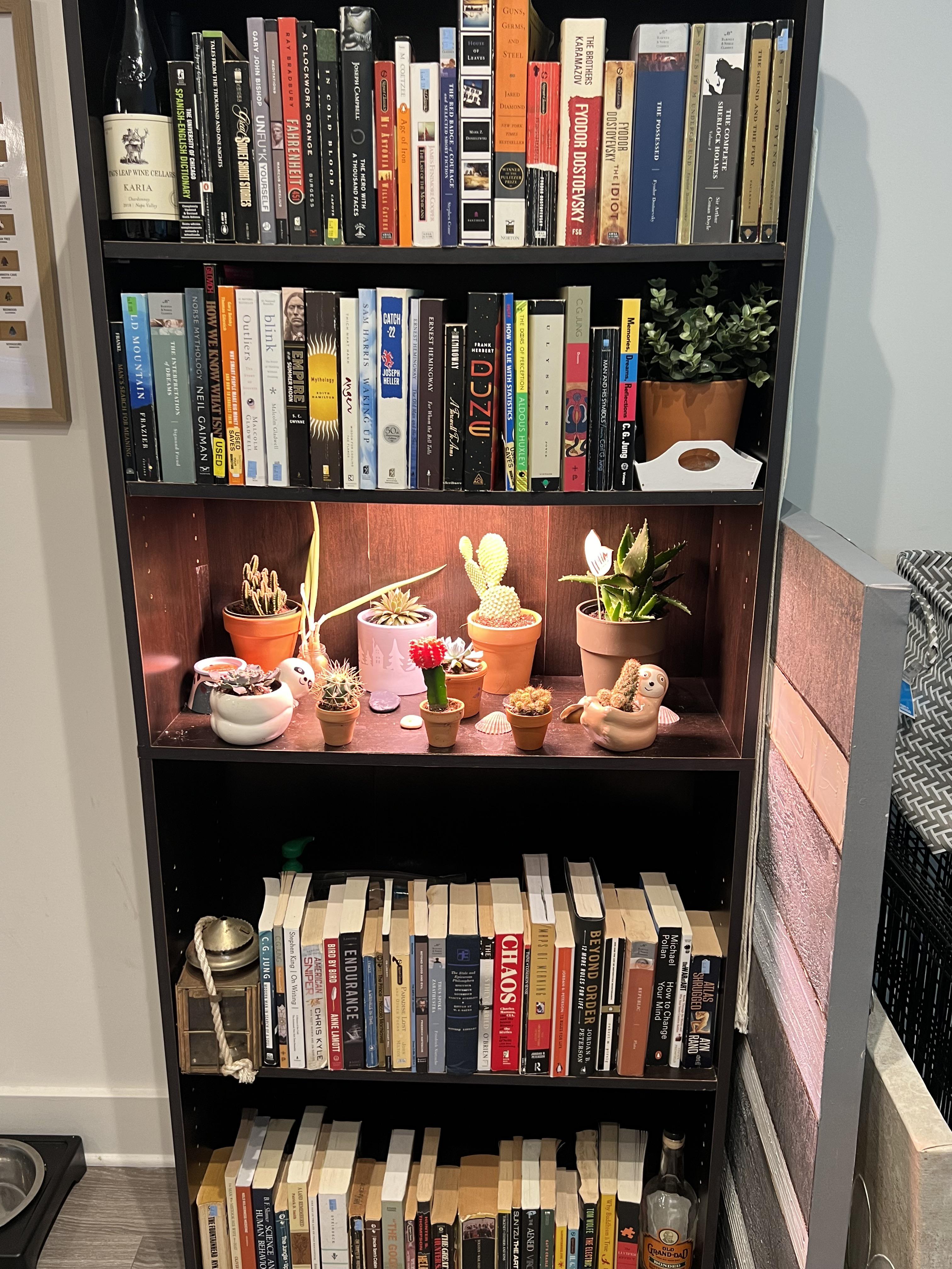 Turned the middle of my bookshelf into a succulent garden with a grow