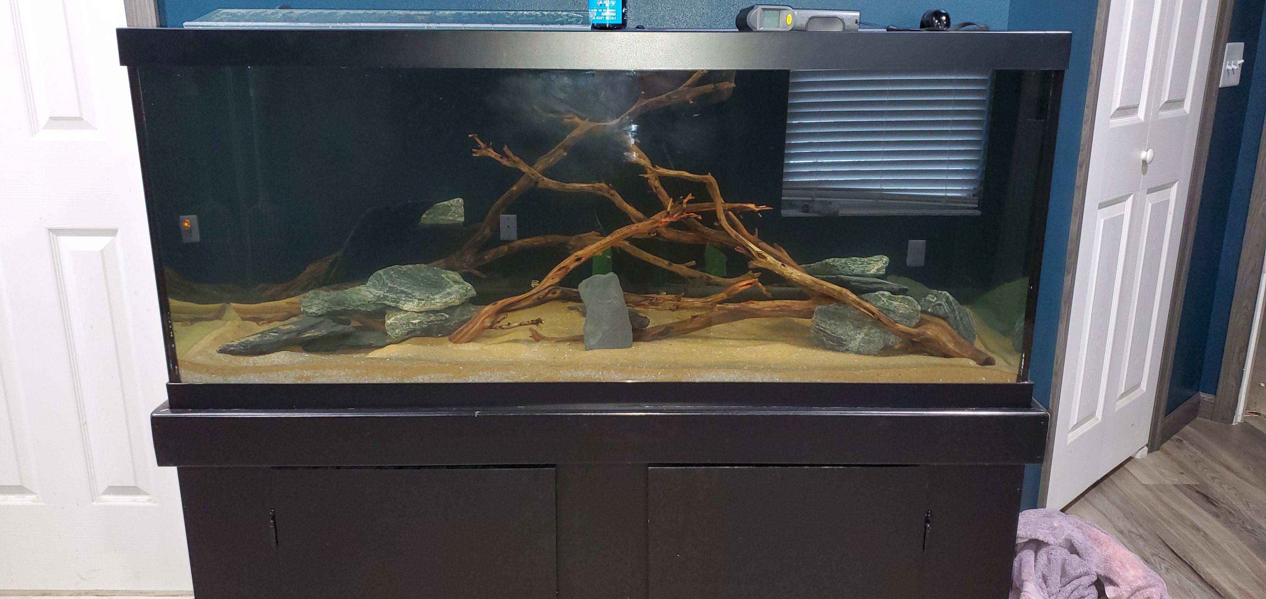 Set up my 75g. Caribsea medium and fine sand substrate. Slate, granite, and driftwood. Fx6 for