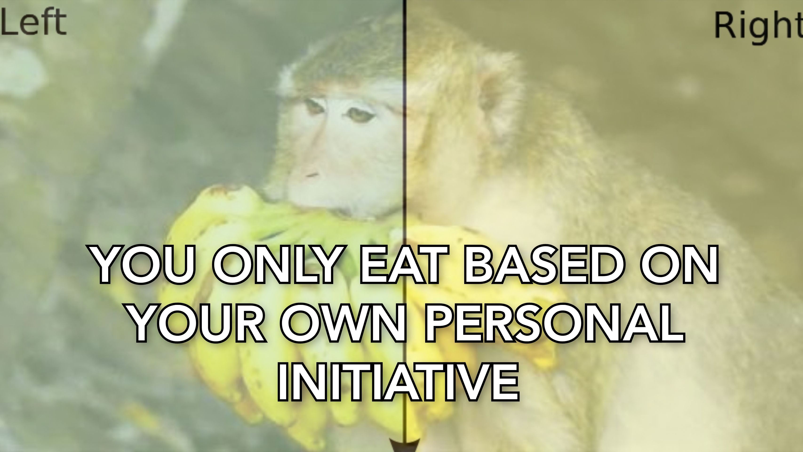 Monkey Law agenda post