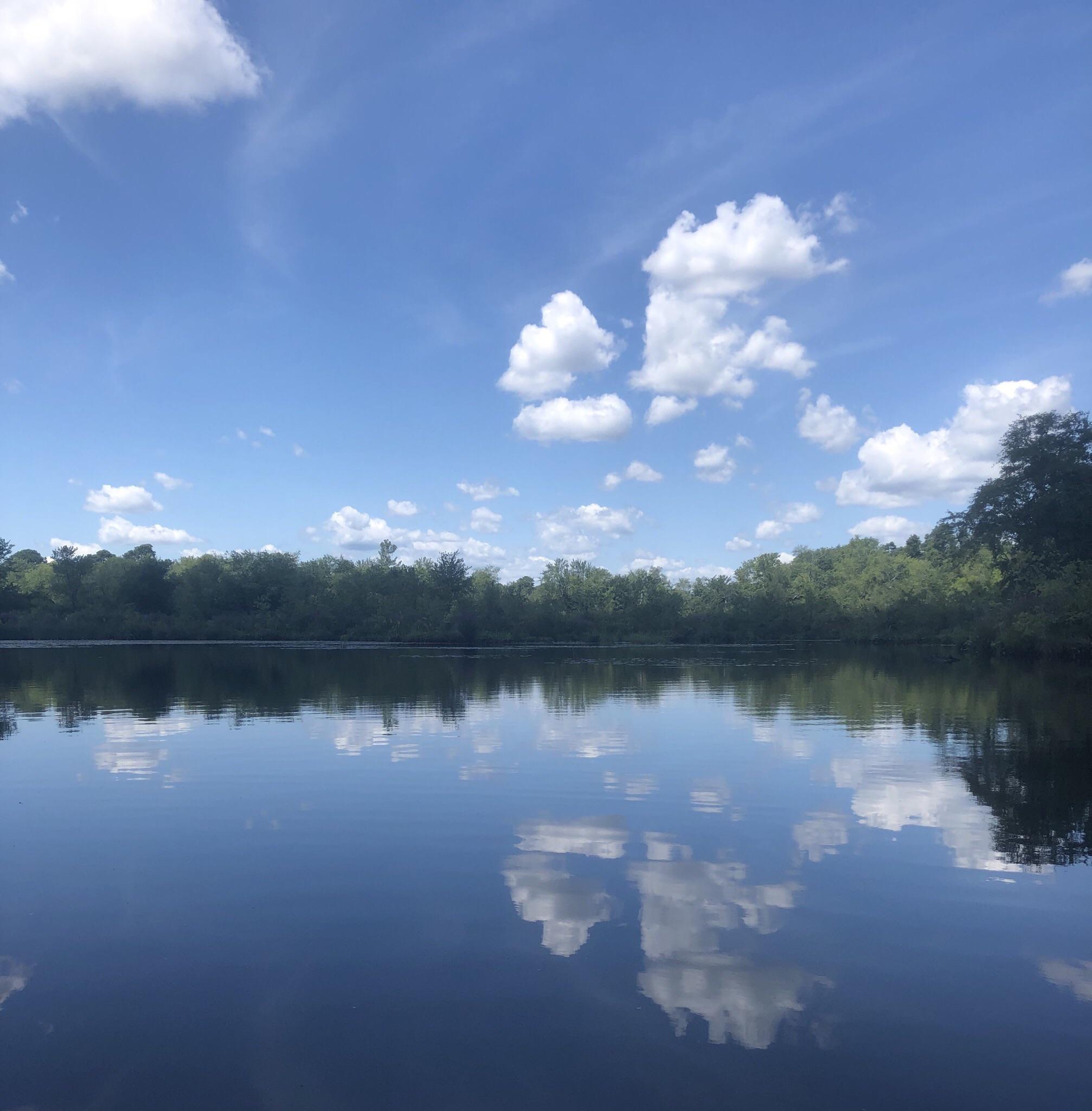 Reflections on Pond (Brick) r/newjersey