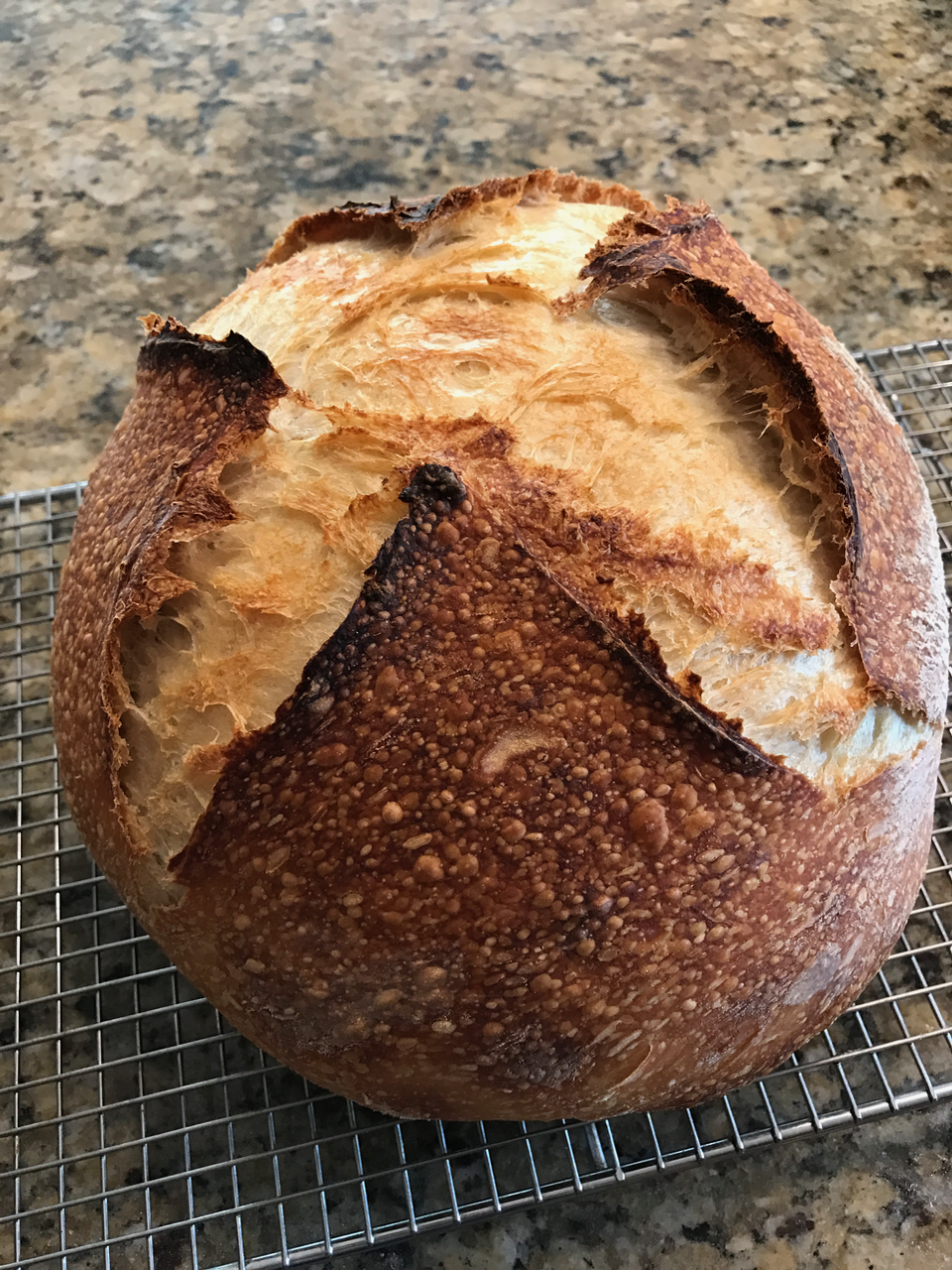 San Francisco Sourdough made in a castiron dutch oven, a 5 day