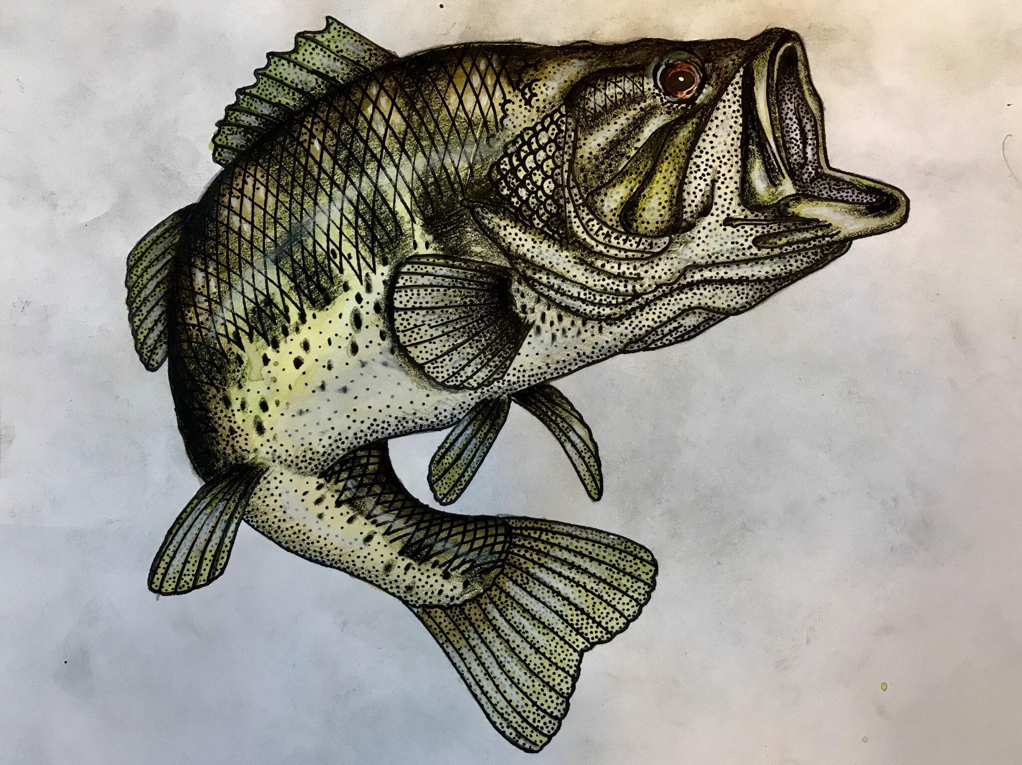 Almost done with a largemouth bass painting. r/Fishing