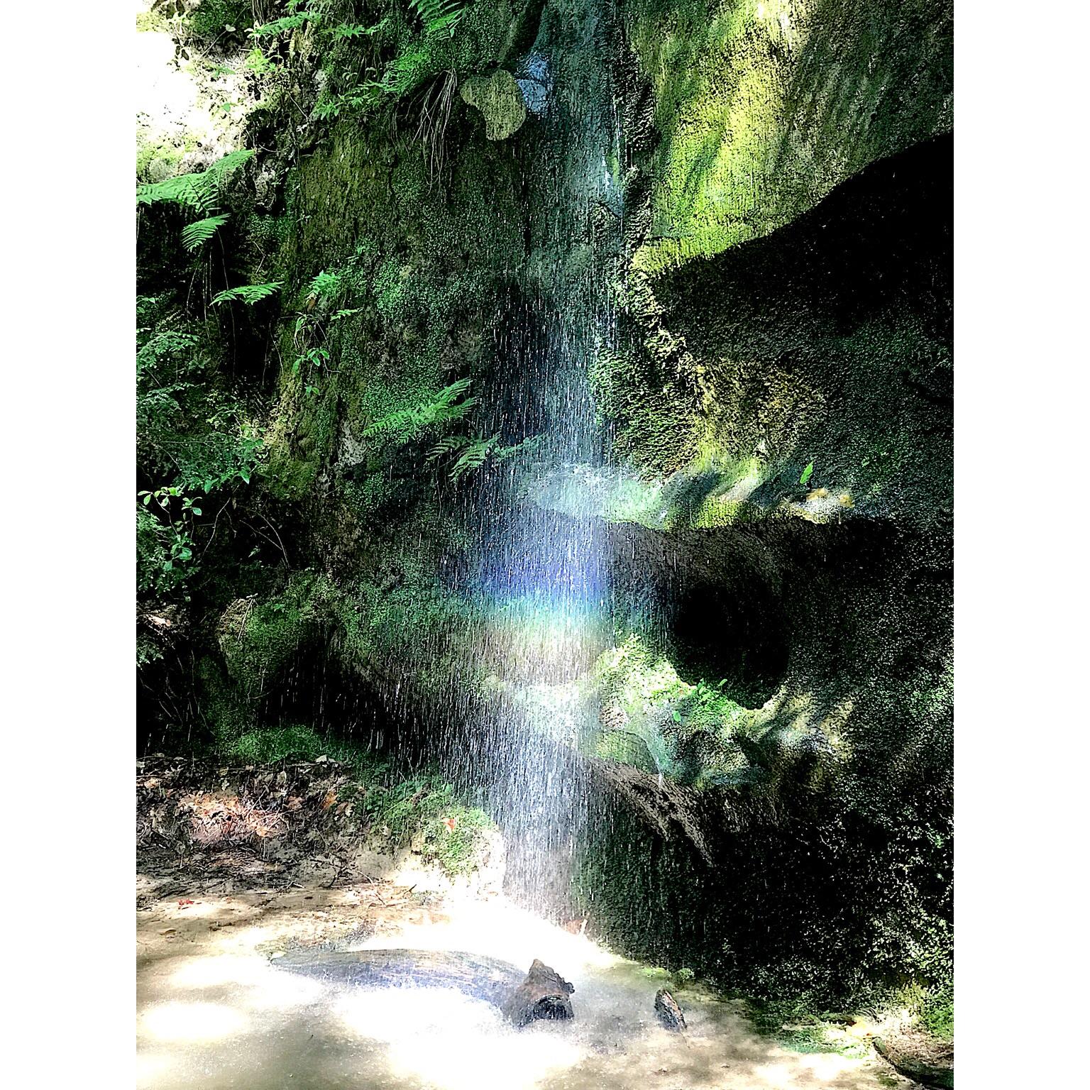 Baby waterfall at the Dismals here in Phil Campbell, Alabama. 🌈 r