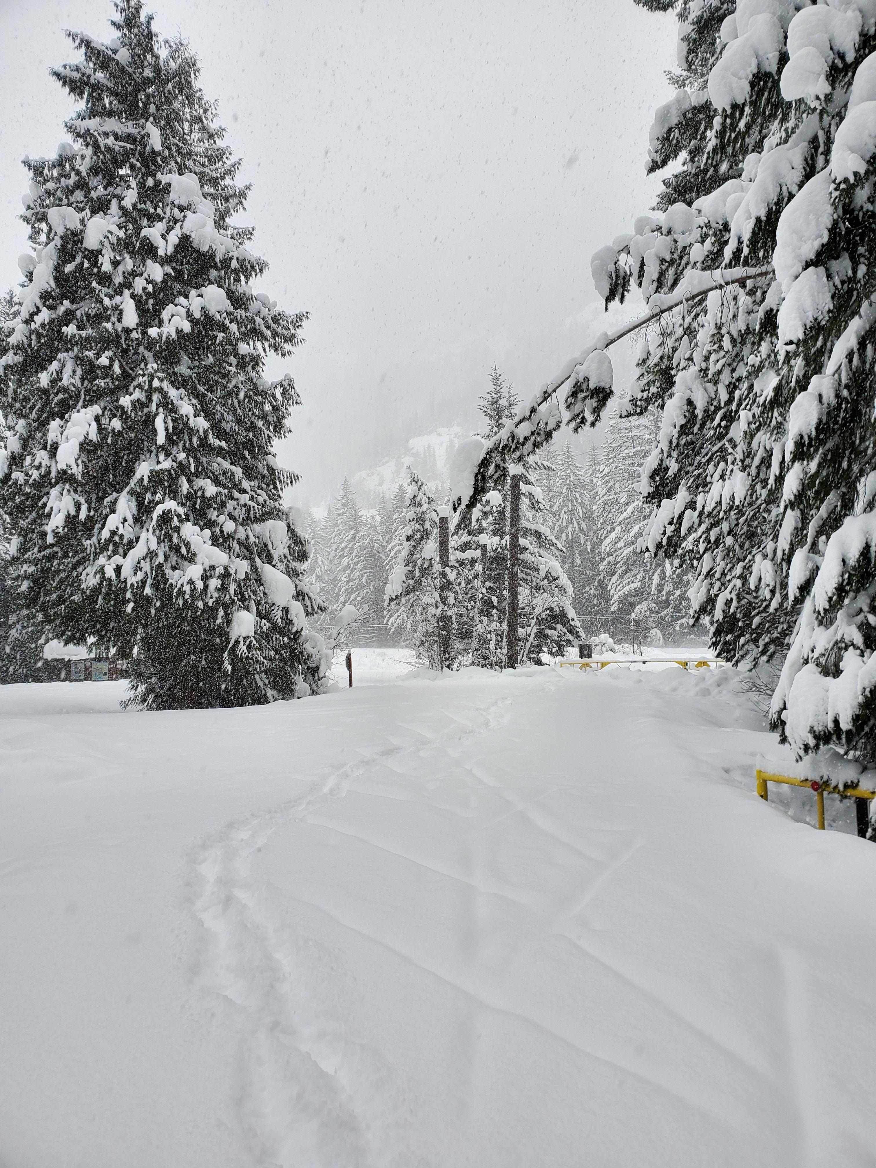 Under a Winter Storm Warning at Nairn Falls Provincial Park near