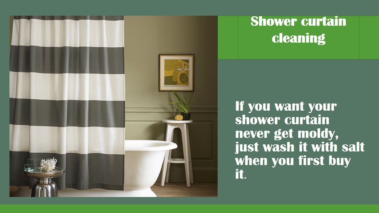 Shower curtain cleaning r/CleaningTips