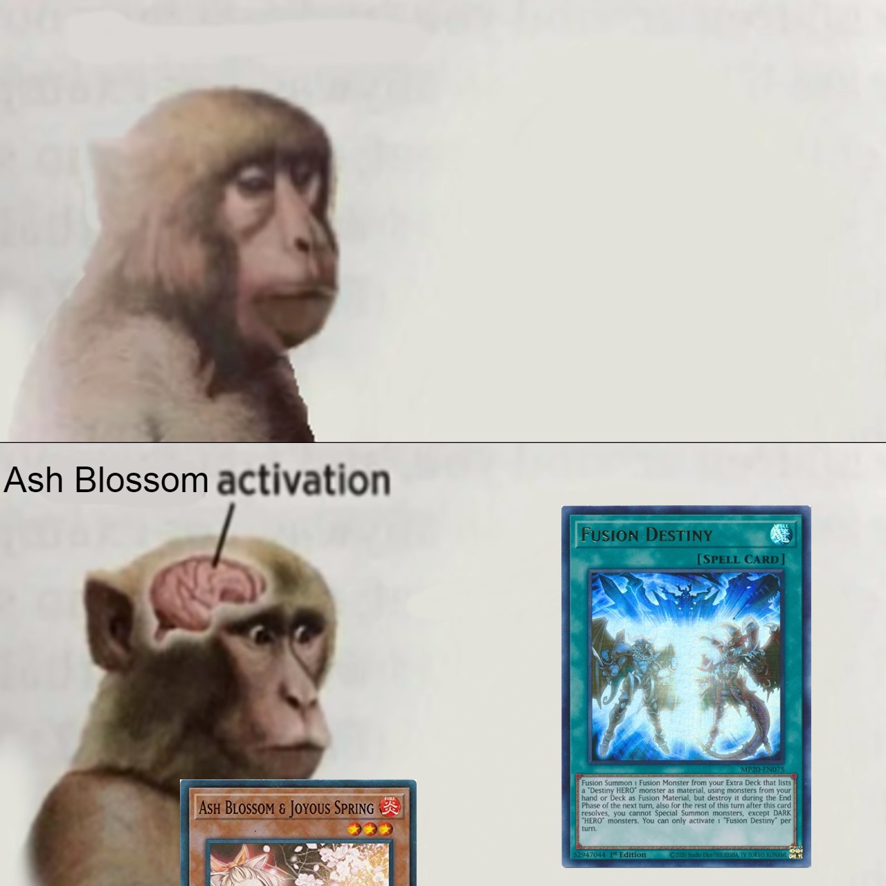 Today I learned that Fusion Destiny's effect is counted as something