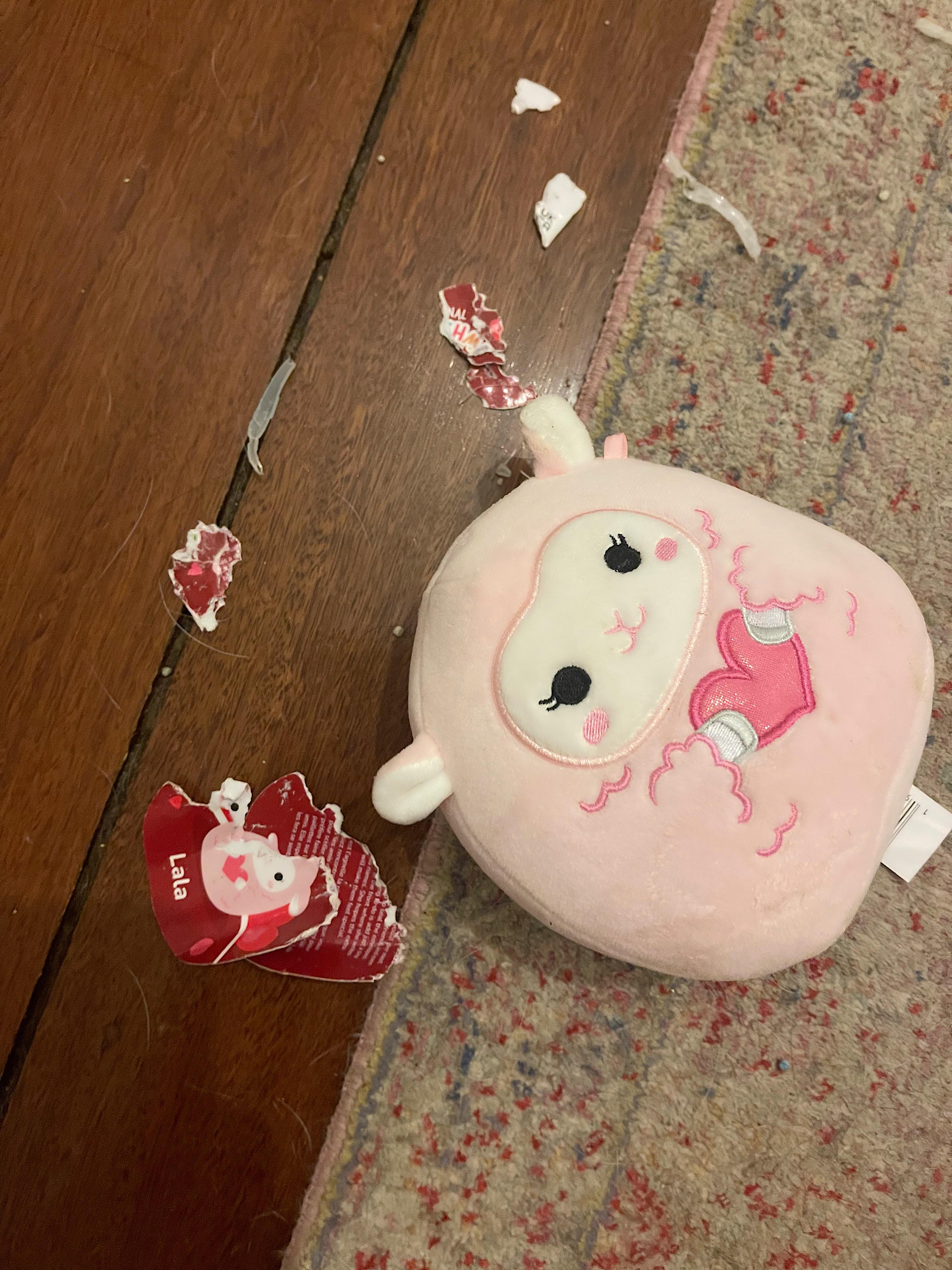 I’m crying. I waited over a month for Lala to get delivered and while I