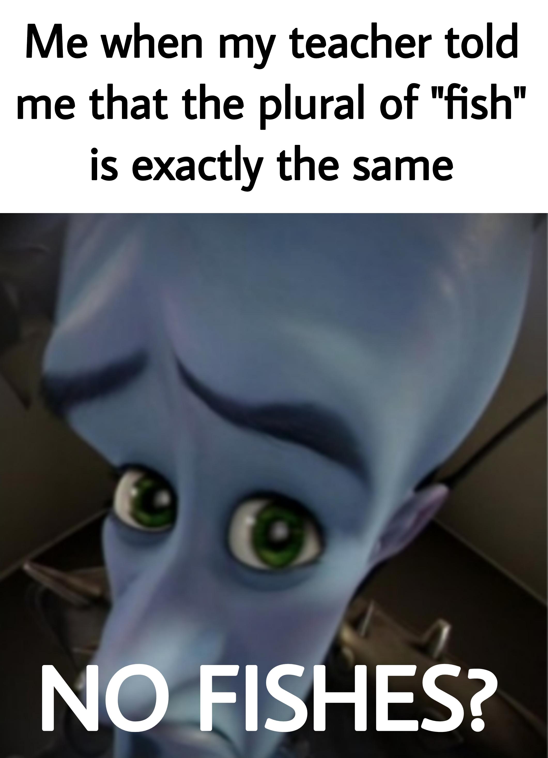 It makes sense to me Images