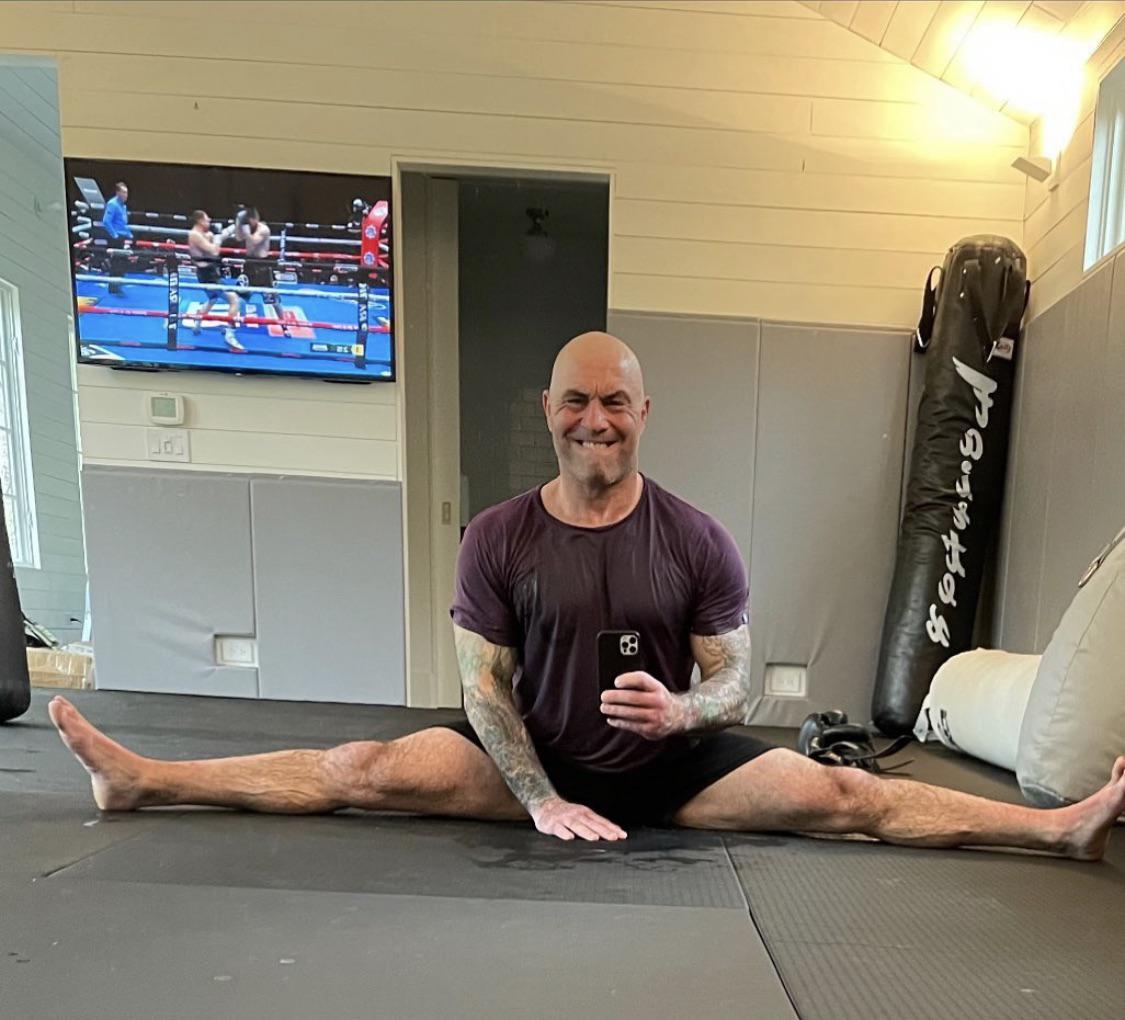 joe rogan kardashian chair Tawana Briscoe