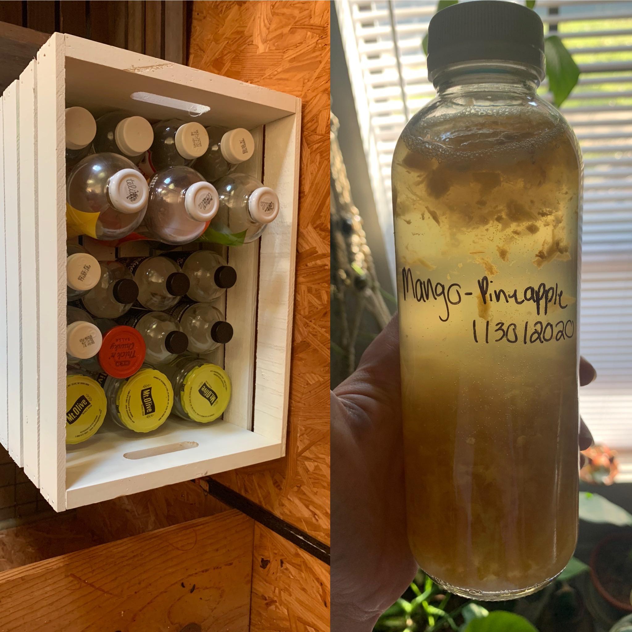 I’ve been saving jars and kombucha bottles over the past 2 years, and today I get to drink my