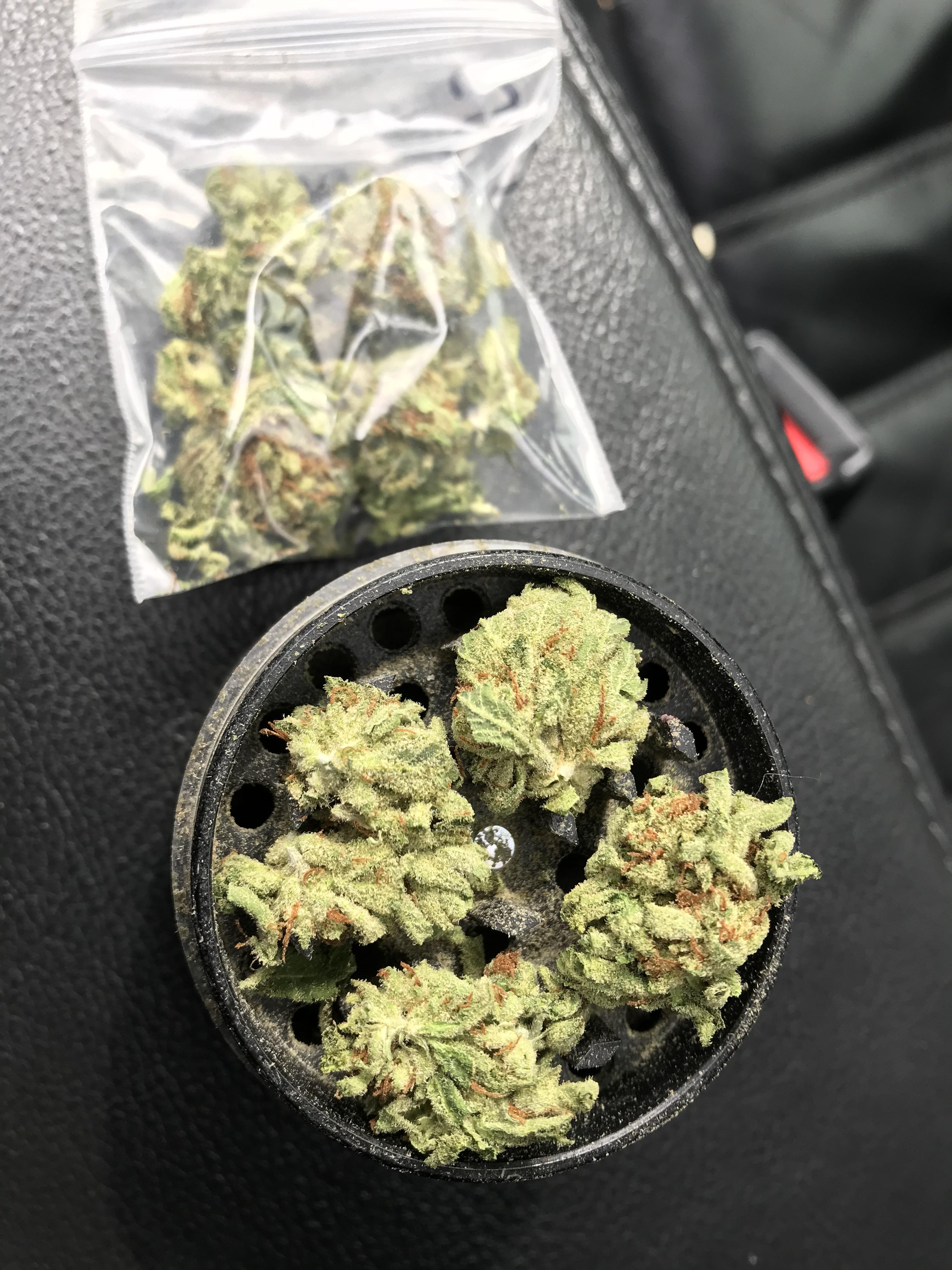 What 20 gets you in Ontario. Sour Diesel OG r/trees