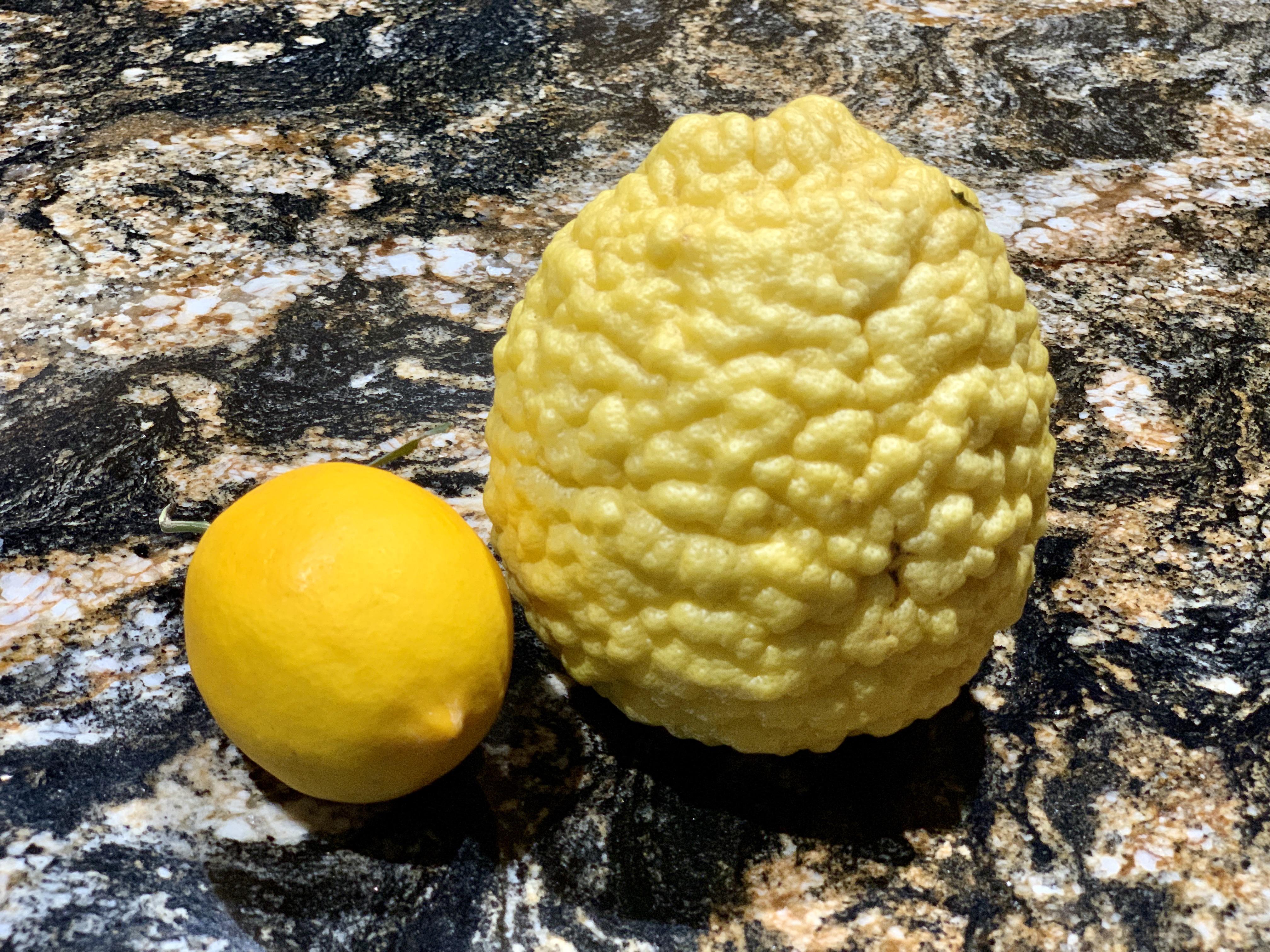 Phoenix, AZ. I get 23 of these giant lumpy lemons on the same tree as
