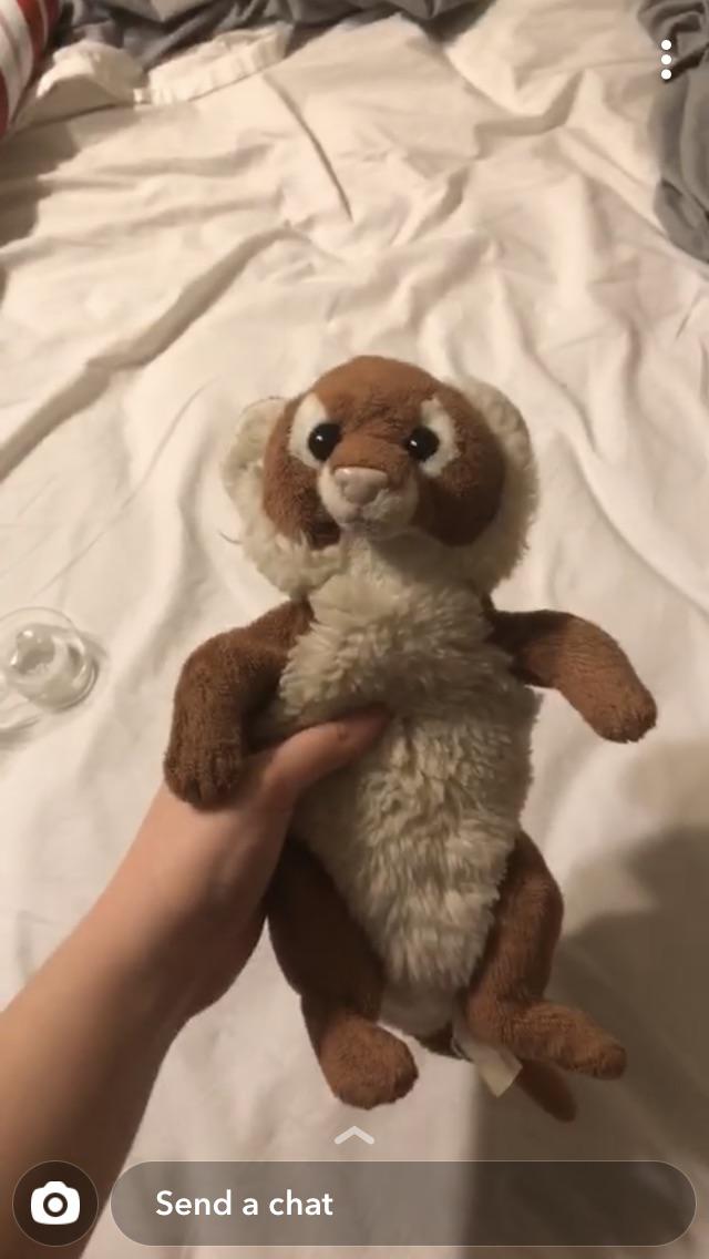 Not exactly a real animal but still don’t know what kind of animal this