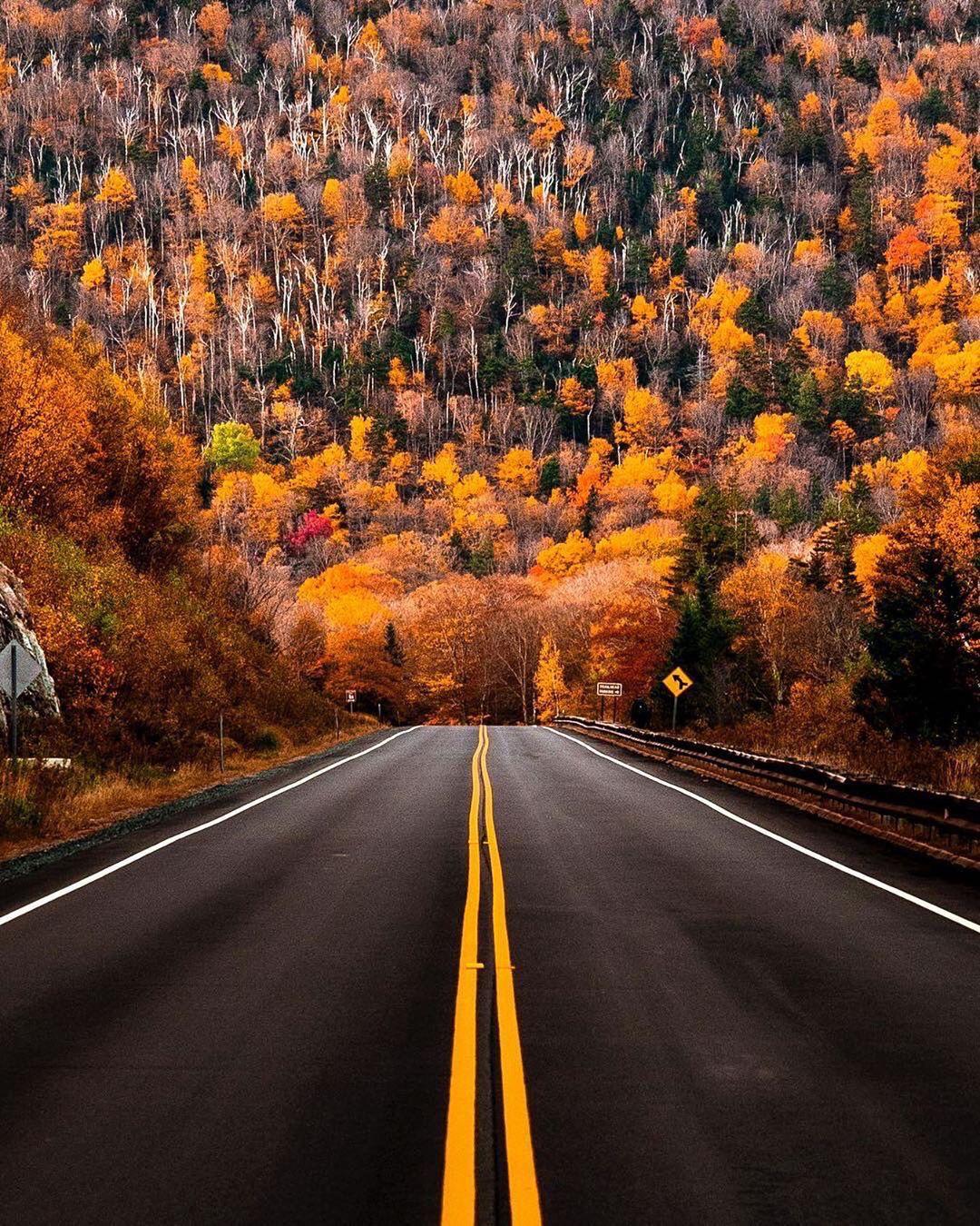 Road through New Hampshire