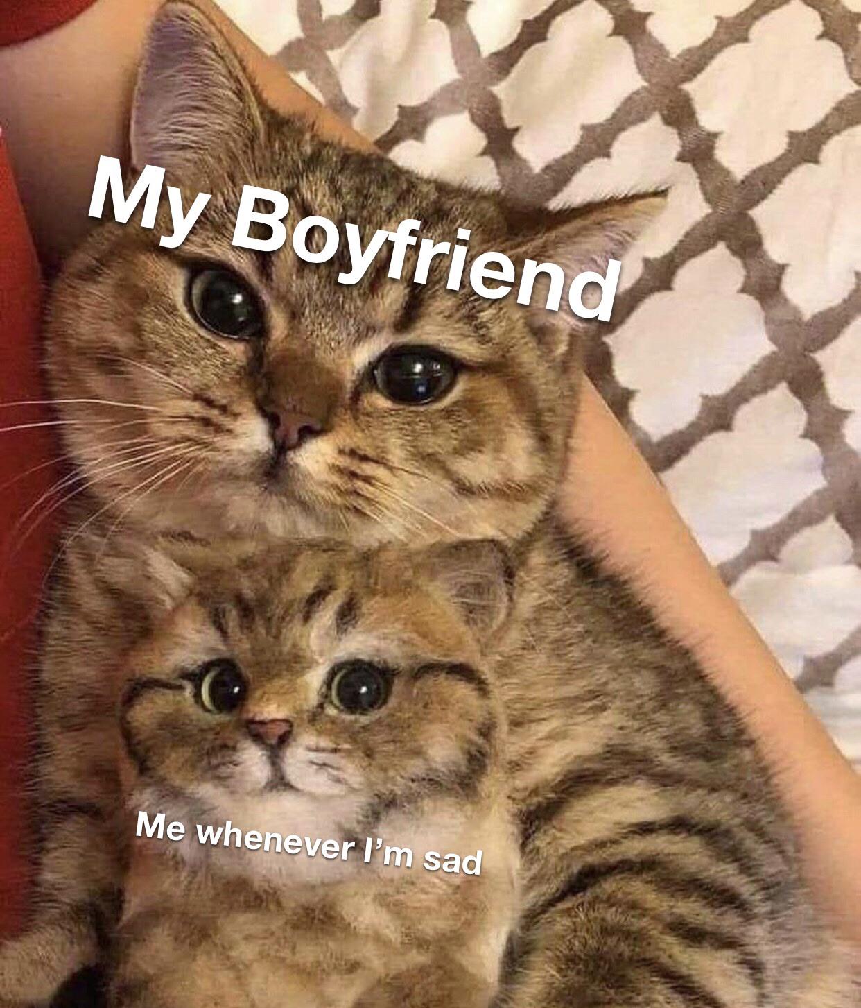 i love him so much r/wholesomememes