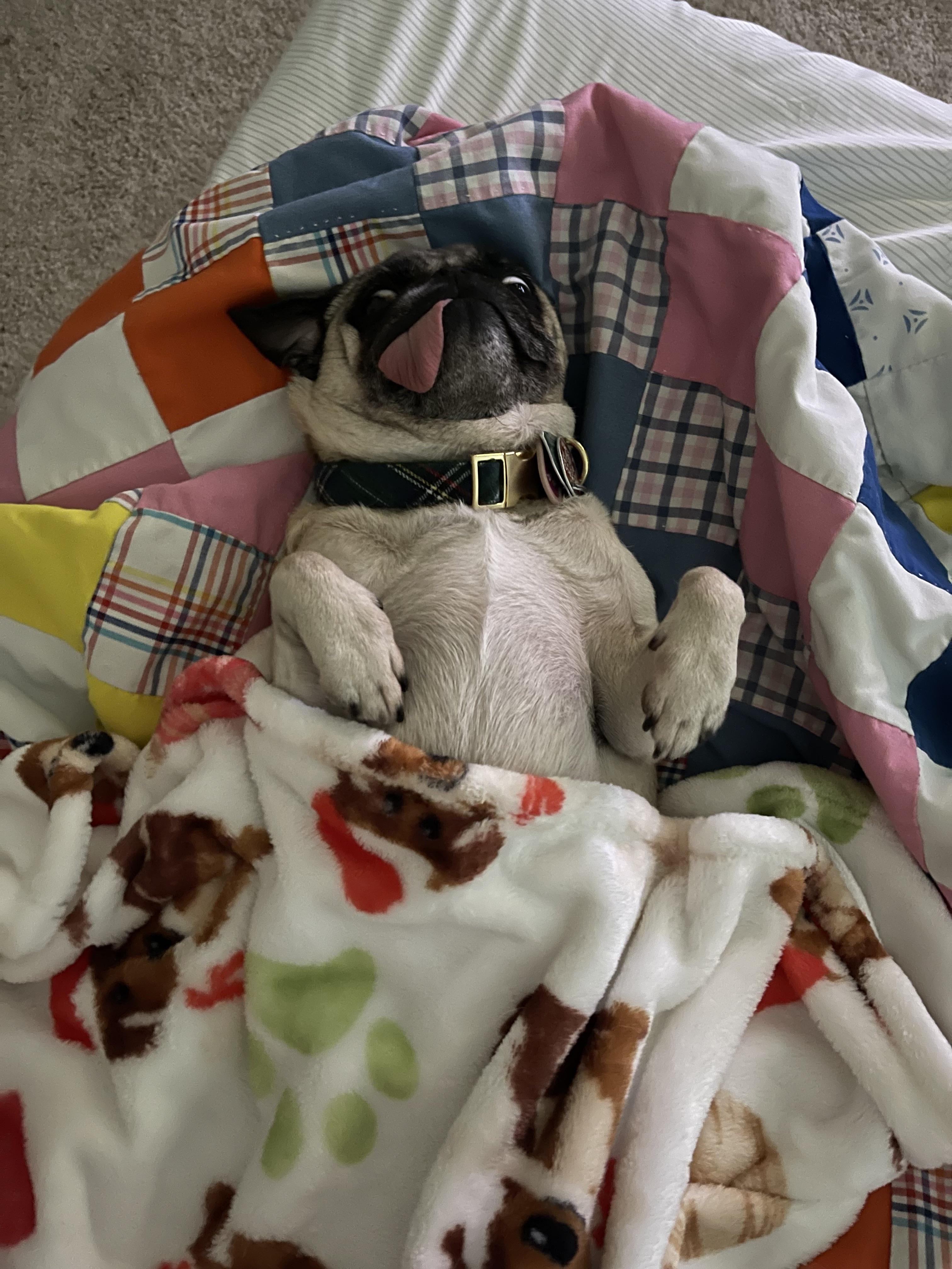 Keep my crazy girl in your thoughts, had to rush her to the emergency