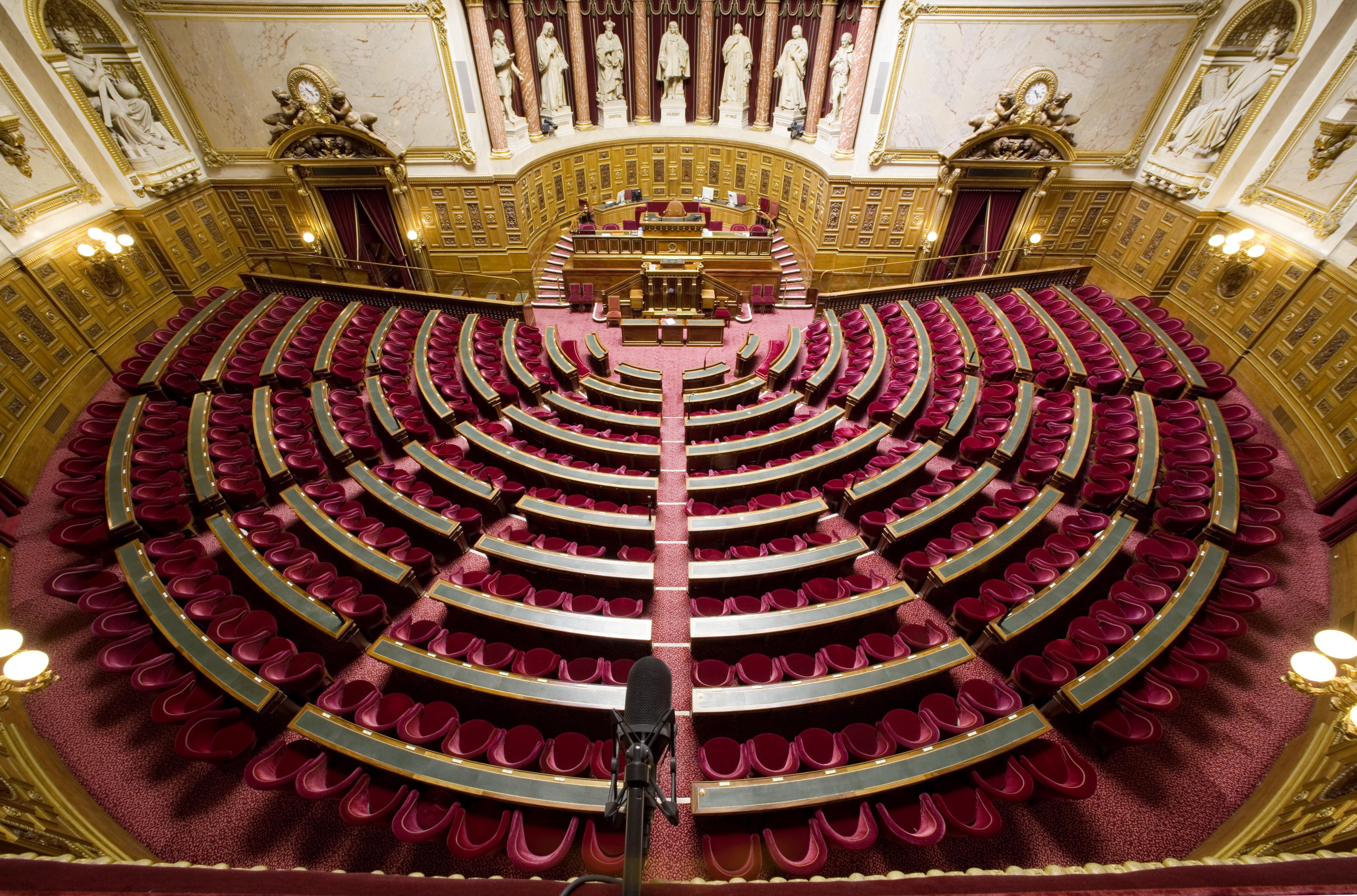 The French Senate, Paris, France [5544x3660] r/RoomPorn