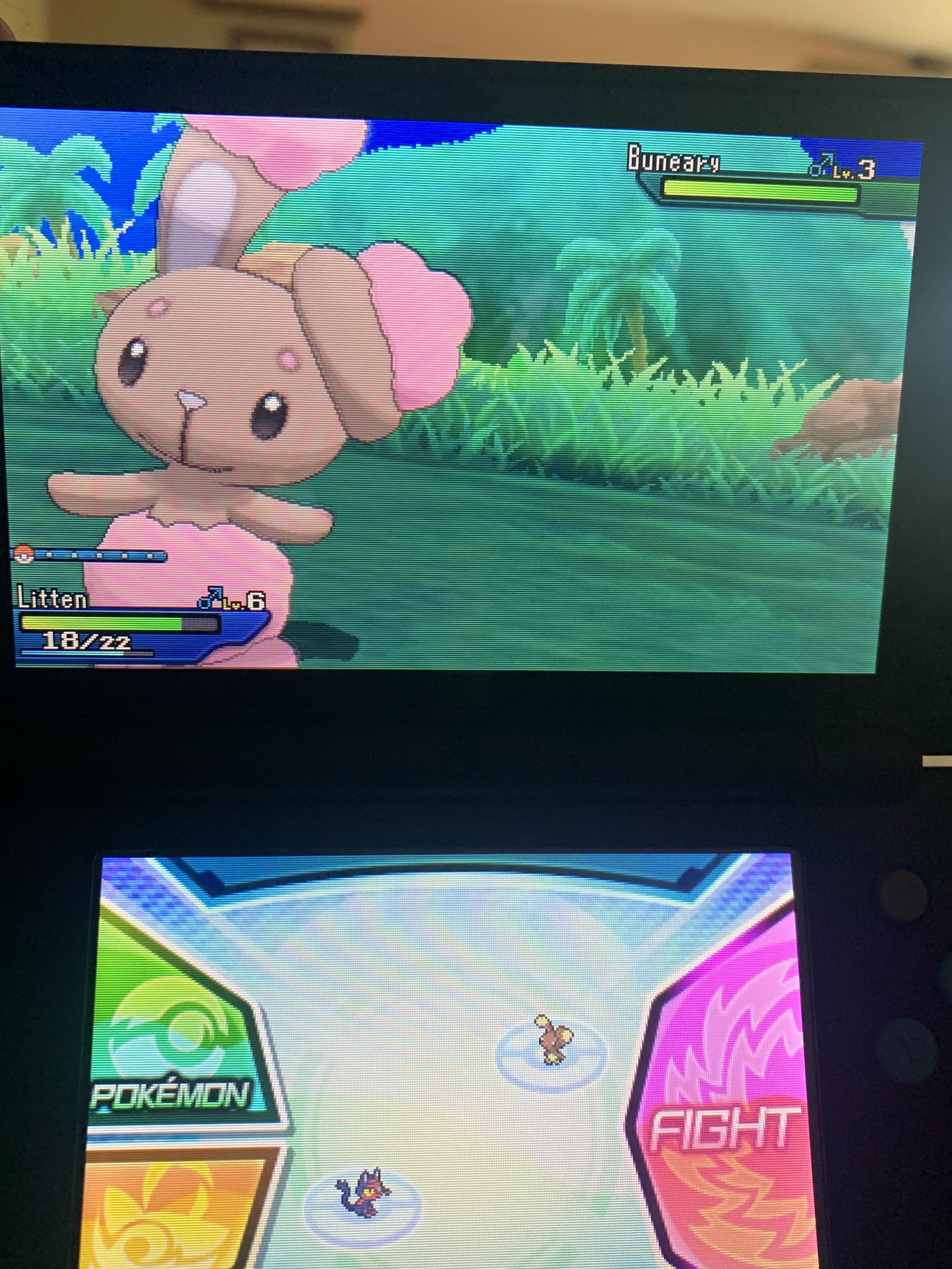[gen7] I found a shiny buneary as my first encounter in ultra sun, but