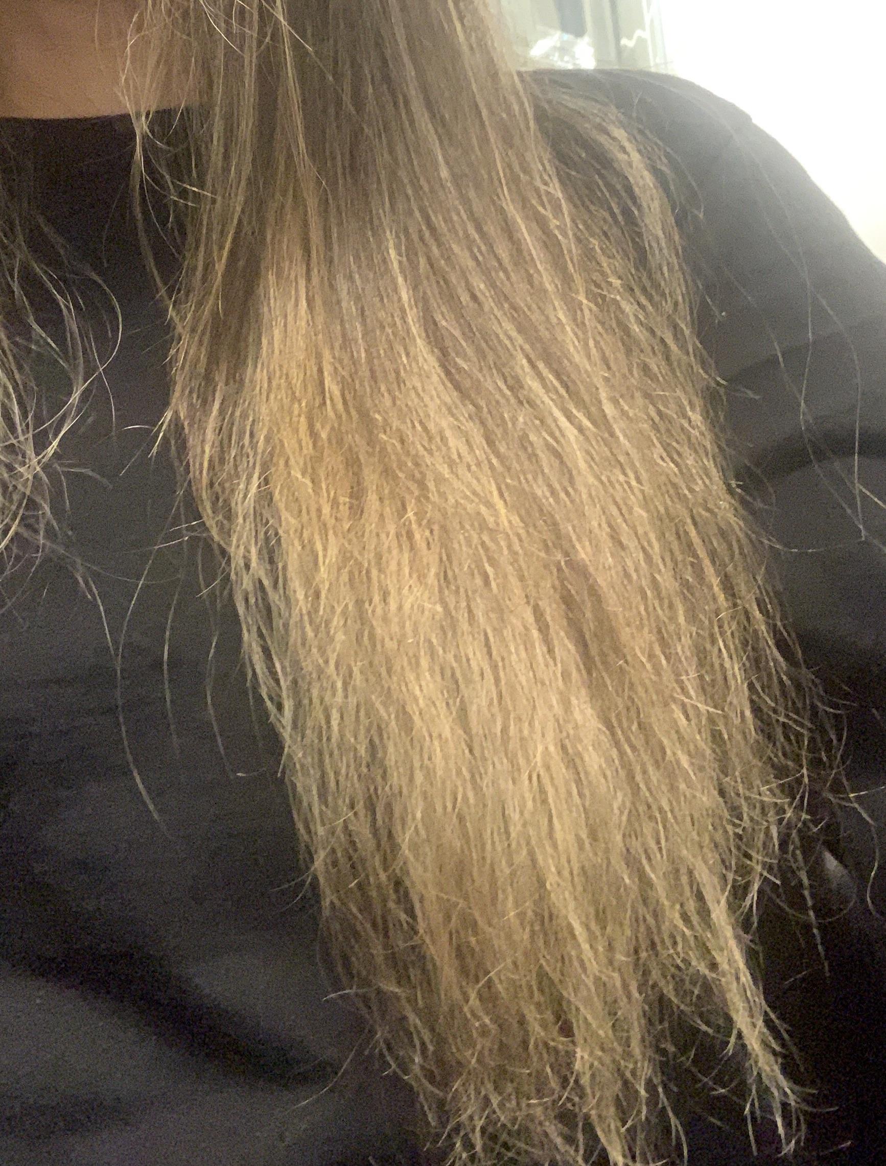 What level did my hair lift to? (This is right after bleaching) r/Hair