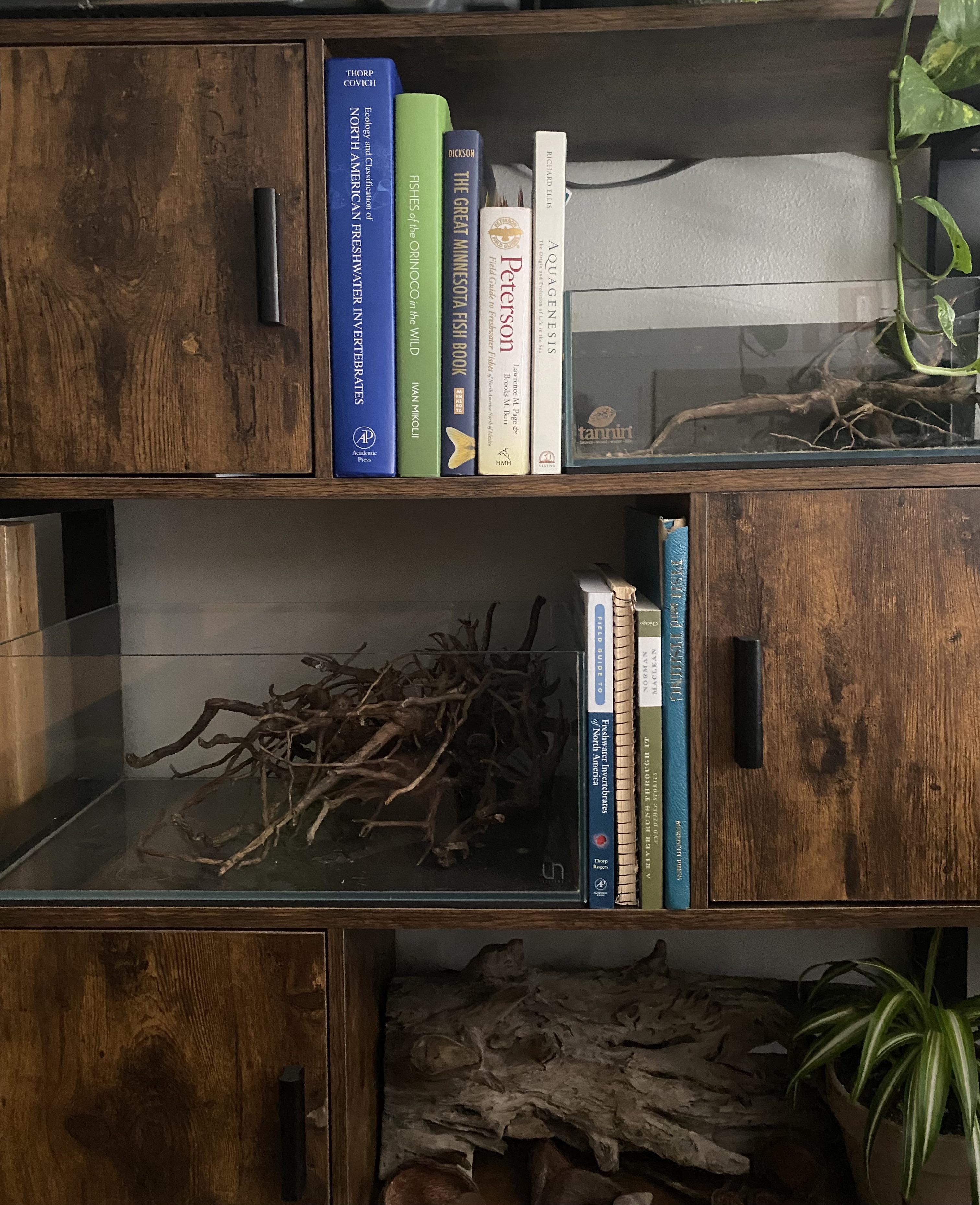 The aquarium shelf r/Aquariums