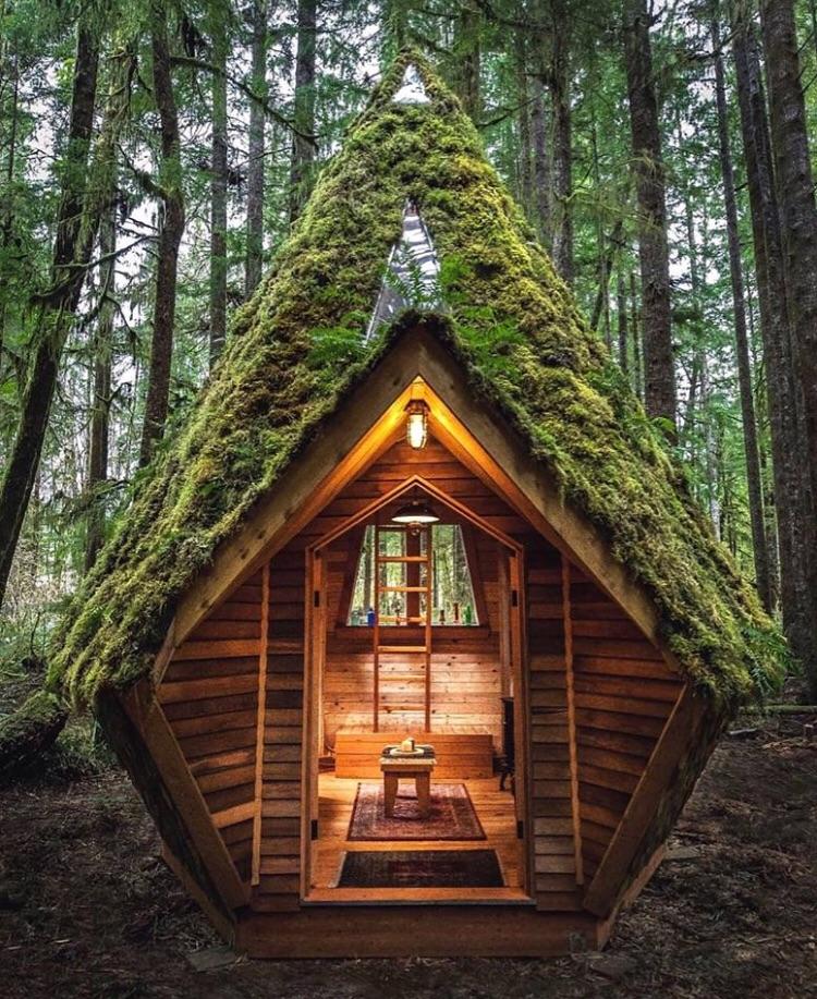 Cozy forest cabin with glass room at the top CozyPlaces