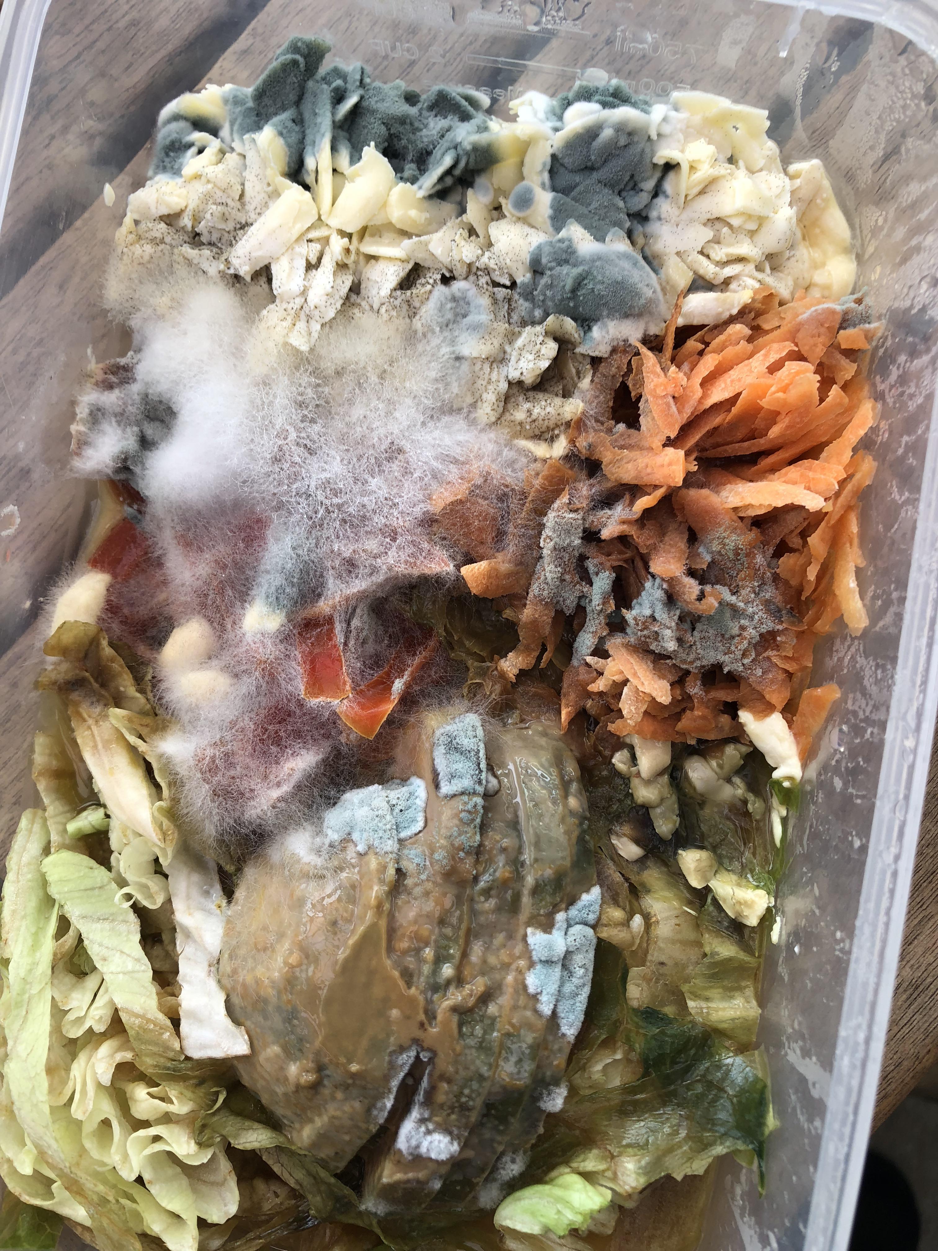 Fridge broke a month ago, today we cleaned it out r/pics