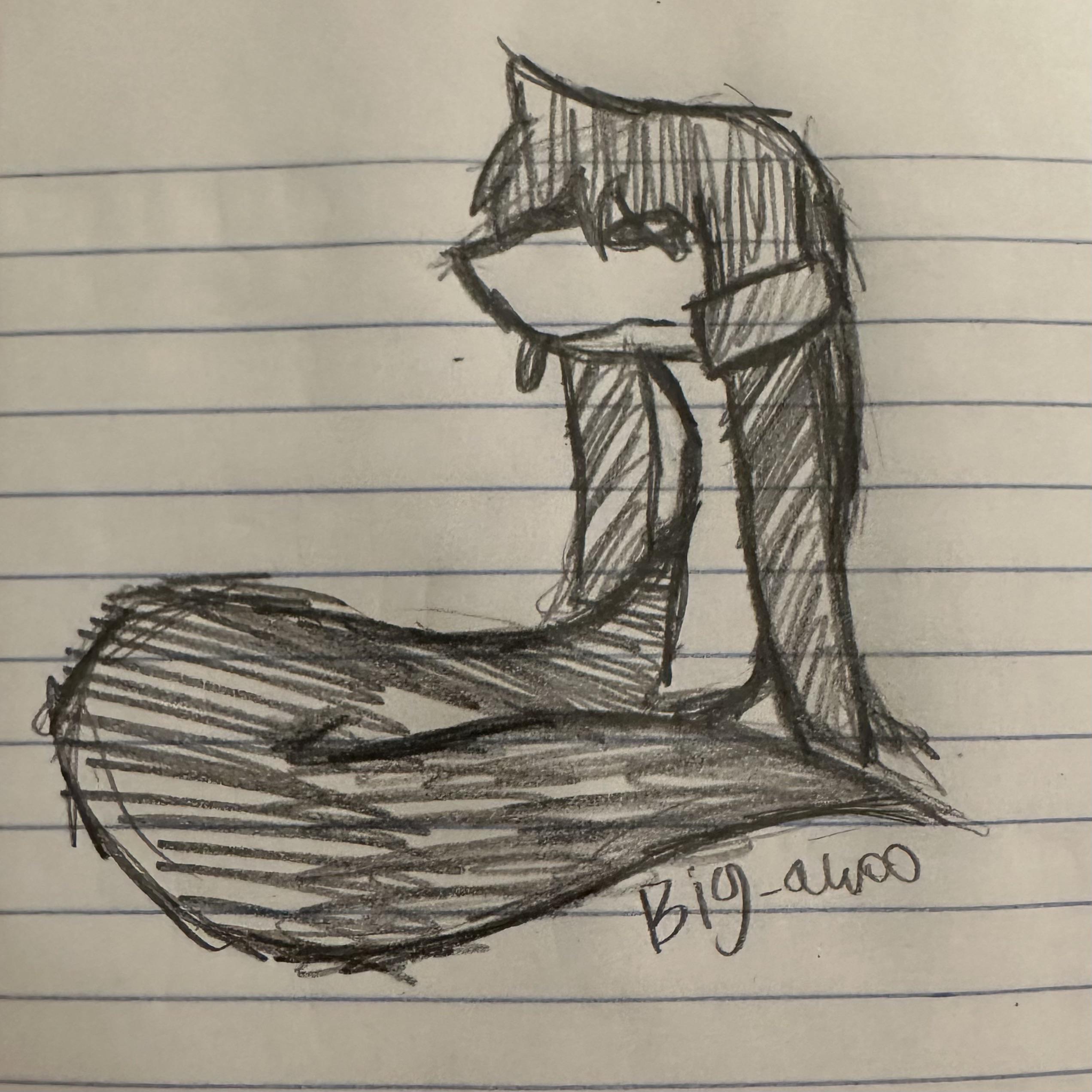 overview for Big-Awoo